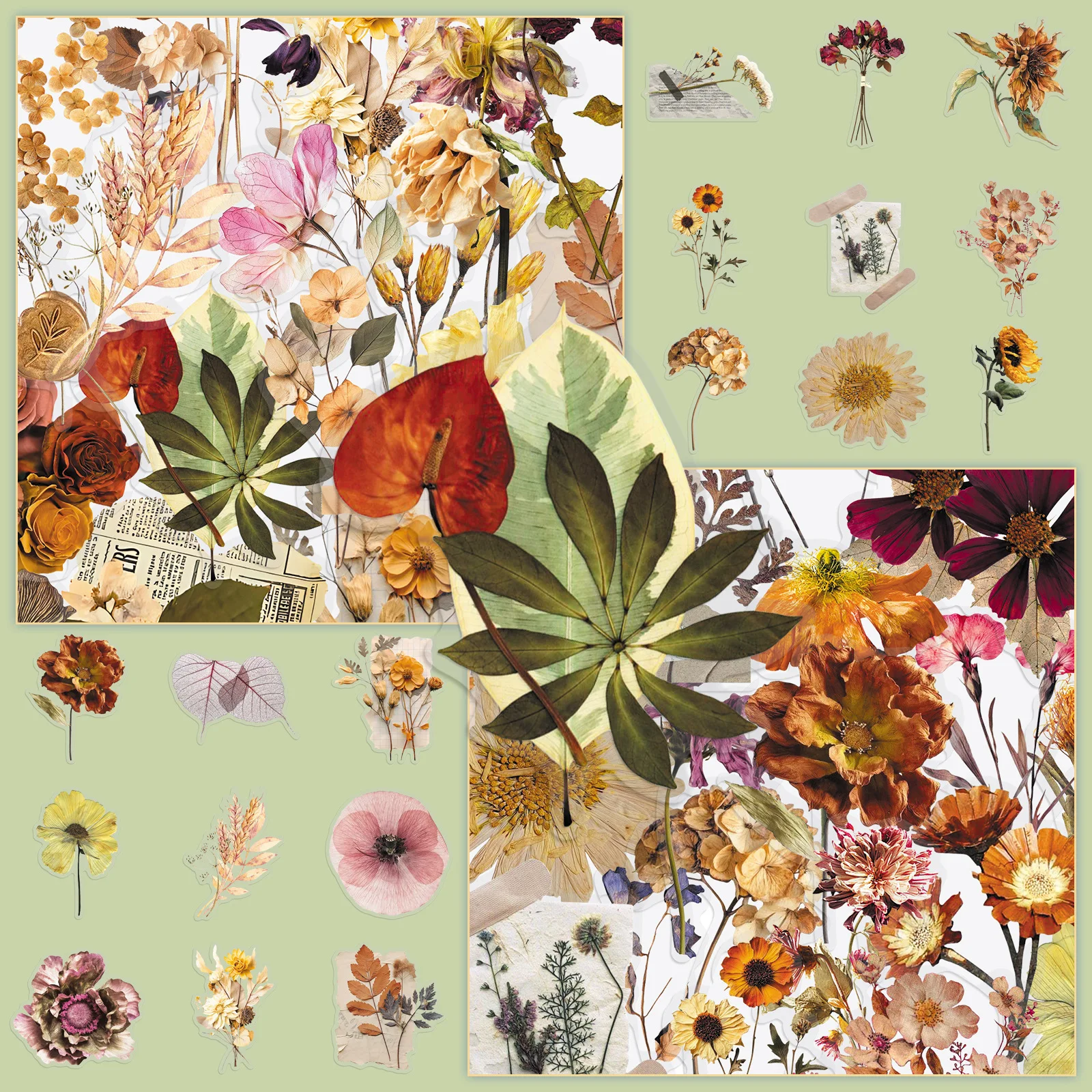 50pcs/1 lot Dry Plant PET Transparent Stickers - Retro Flowers and Leaves Realistic INS Tea Cup Notebook Envelope Stickers
50pcs/1 lot Dry Plant PET Transparent Stickers - Retro Flowers and Leaves Realistic INS Tea Cup Notebook Envelope Stickers
