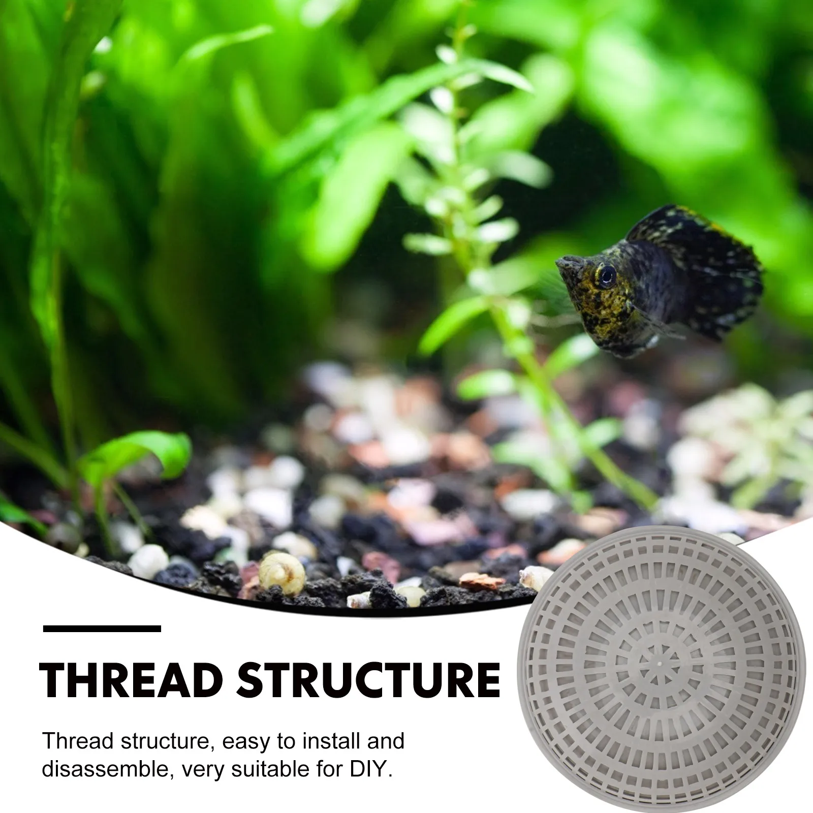 2pcs Moss Spawning Box Aquatic Plant Holders White Plastic Water Grass Container Permeable Holes Aquarium Landscape Fish Tank
2pcs Moss Spawning Box Aquatic Plant Holders White Plastic Water Grass Container Permeable Holes Aquarium Landscape Fish Tank