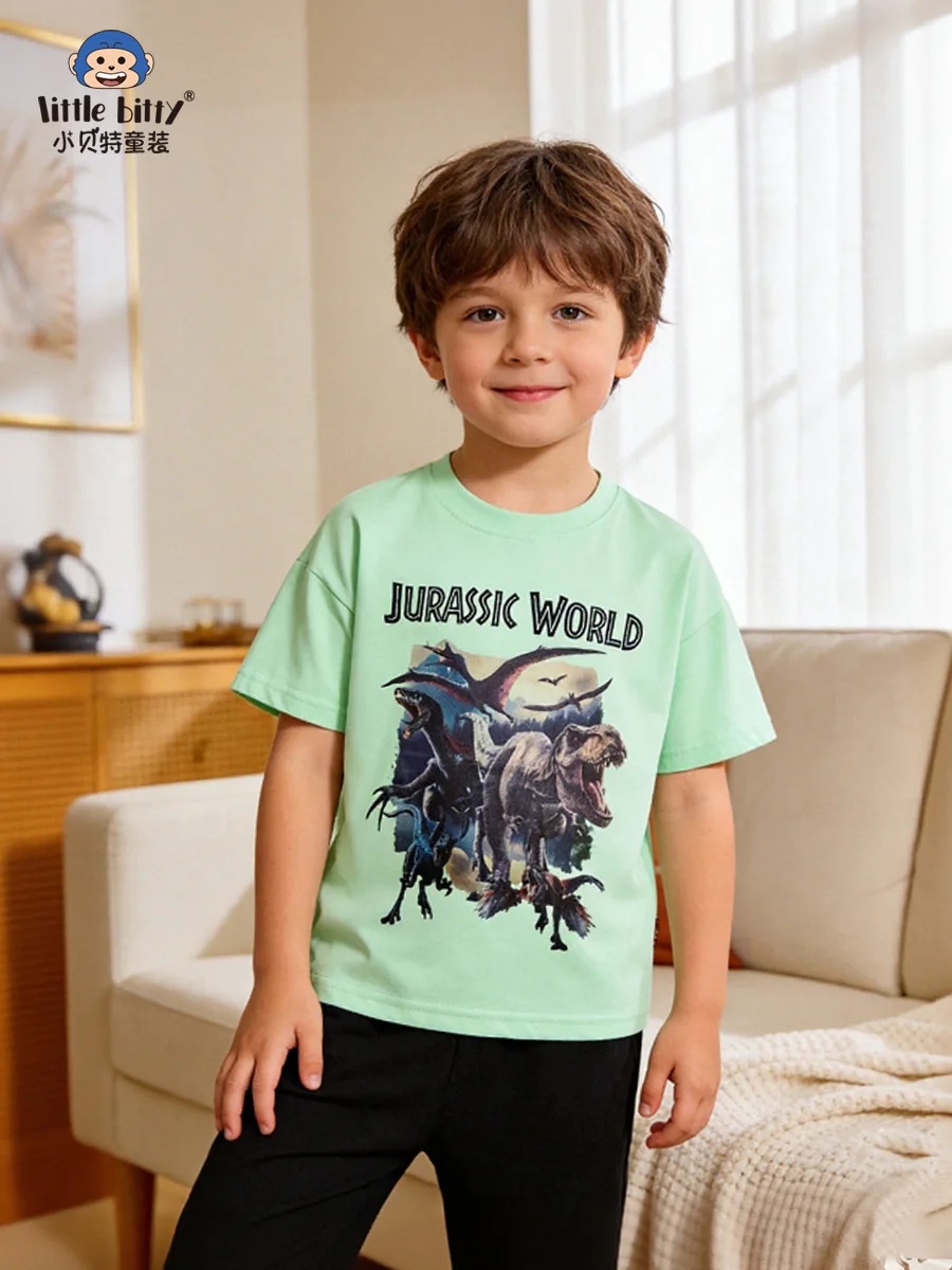 Summer Short-Sleeve Shirt for Boys 3-8 Years Cartoon Dinosaur Print Crew Neck Children's Clothing Comfortable Kids' Tee
Summer Short-Sleeve Shirt for Boys 3-8 Years Cartoon Dinosaur Print Crew Neck Children's Clothing Comfortable Kids' Tee