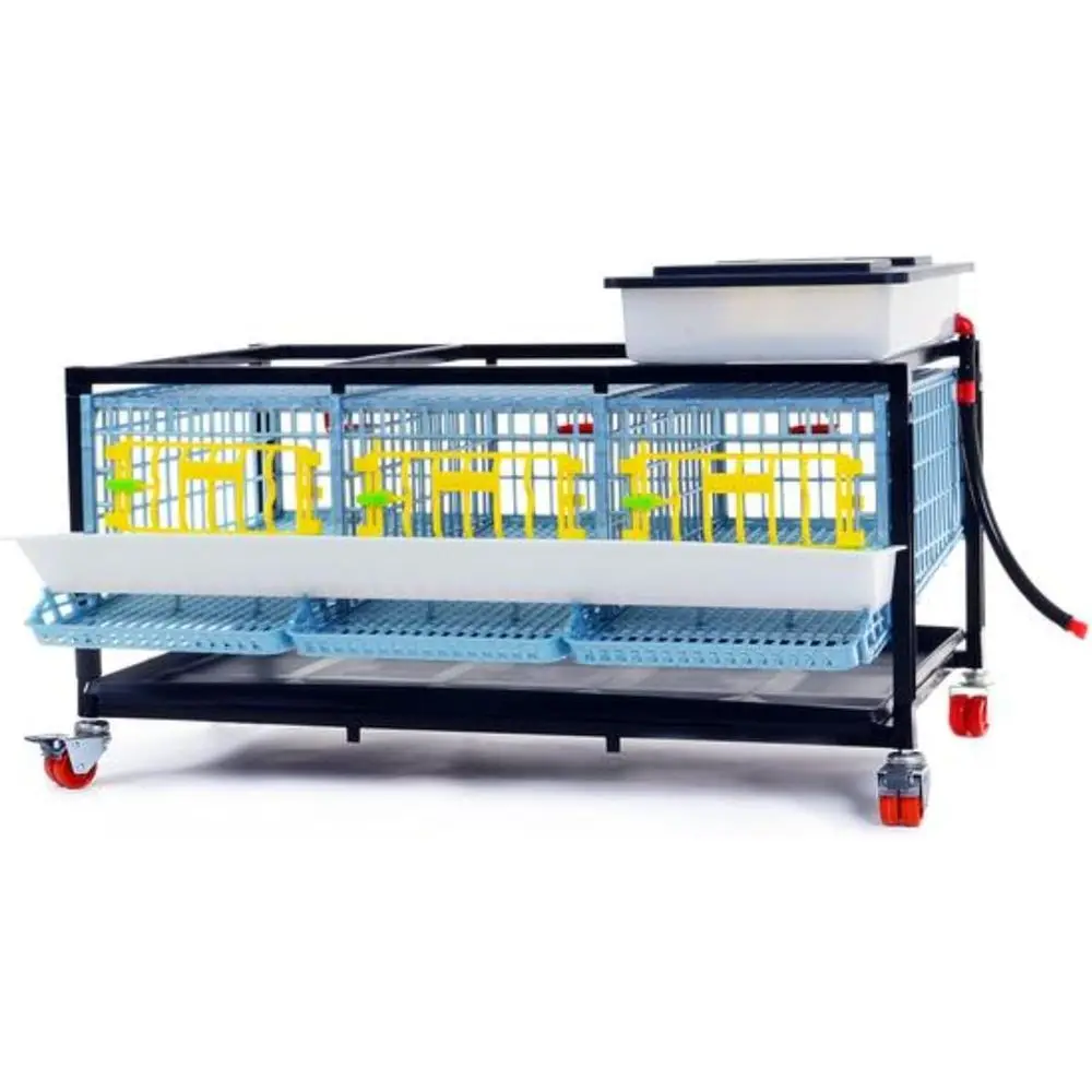 Quail Cage Expansion Kit: Spacious Floor Area, Removable Partitions, Waste Trays, Egg Collection, Easy Maintenance ABS Plastic
Quail Cage Expansion Kit: Spacious Floor Area, Removable Partitions, Waste Trays, Egg Collection, Easy Maintenance ABS Plastic