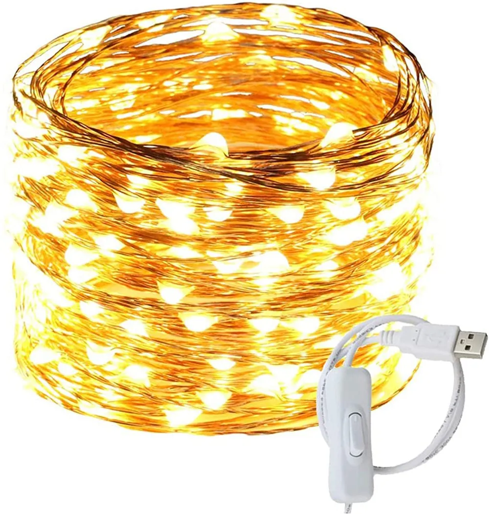 USB Power 5M/10M LED Firefly String Lights with ON/Off Switch Waterproof Copper Wire Christmas Lights For Holiday Wedding Party
USB Power 5M/10M LED Firefly String Lights with ON/Off Switch Waterproof Copper Wire Christmas Lights For Holiday Wedding Party