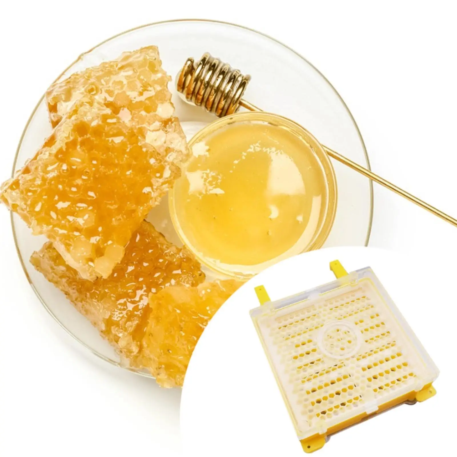 Комплект для выращивания королевы пчелы Система выращивания королевы для пчеловодства Универсальный желтый
Комплект для выращивания королевы пчелы Система выращивания королевы для пчеловодства Универсальный желтый