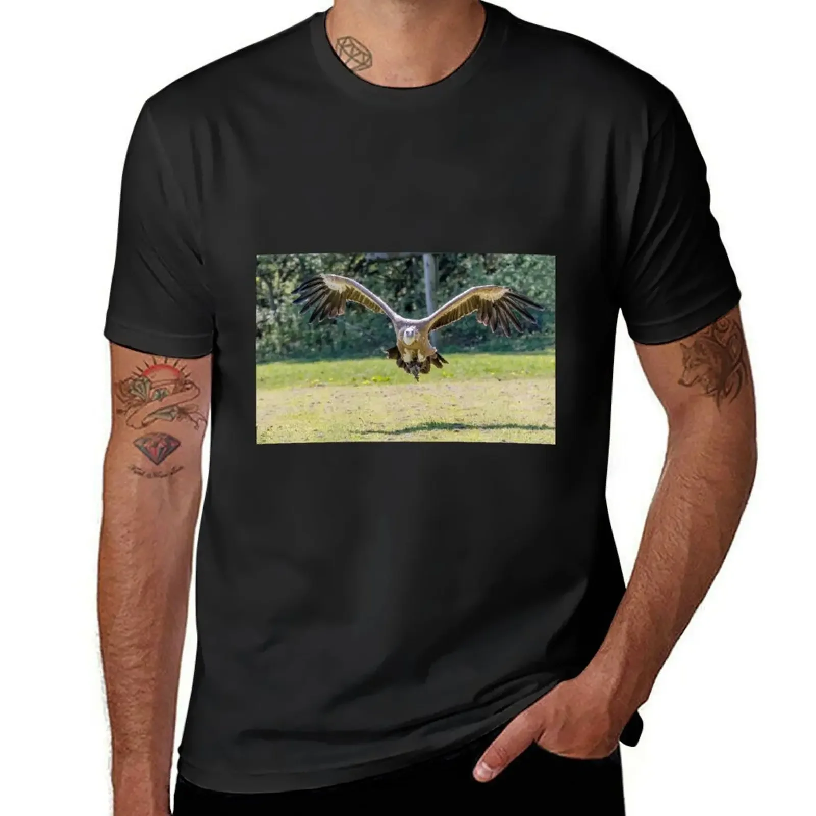 Gyps fulvus T-Shirt summer tops quick drying basketball graphic tees sublime mens workout shirts
Gyps fulvus T-Shirt summer tops quick drying basketball graphic tees sublime mens workout shirts