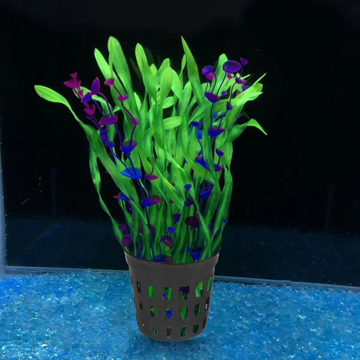 10 Pcs Luxury Basket Aquarium Plant Anchors Holder for Fish Tank Planting Baskets
10 Pcs Luxury Basket Aquarium Plant Anchors Holder for Fish Tank Planting Baskets