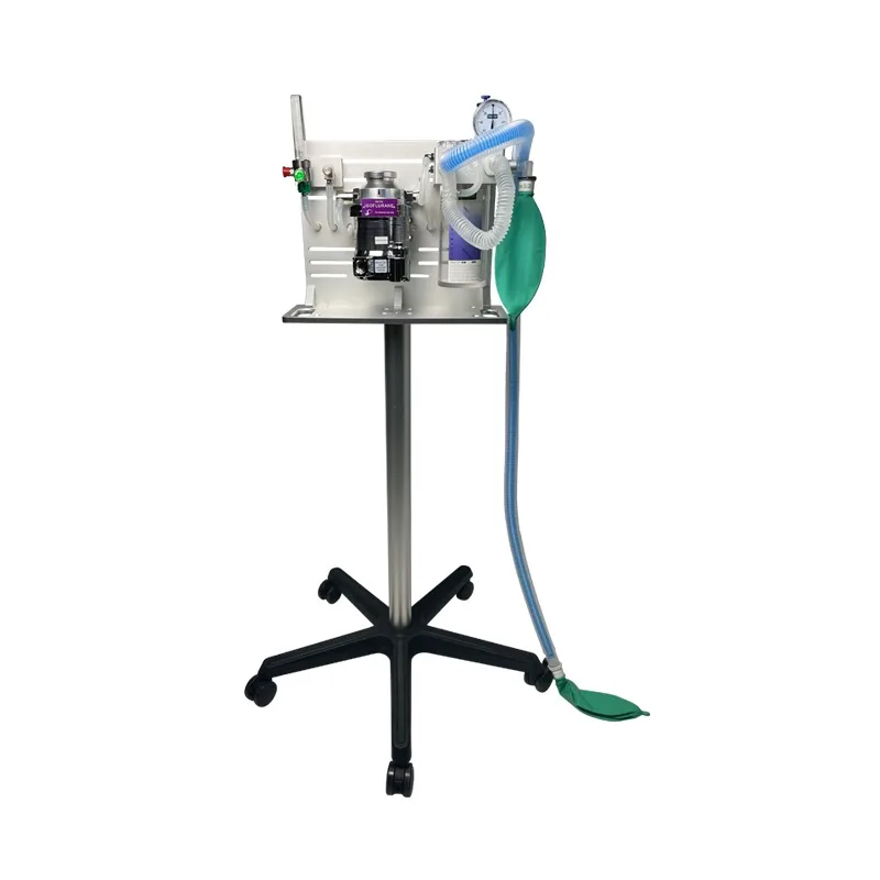 SmartFvet High Quality New Small Cheap Price Veterinary Anesthesia Animal Vet Anesthesia Machine
SmartFvet High Quality New Small Cheap Price Veterinary Anesthesia Animal Vet Anesthesia Machine