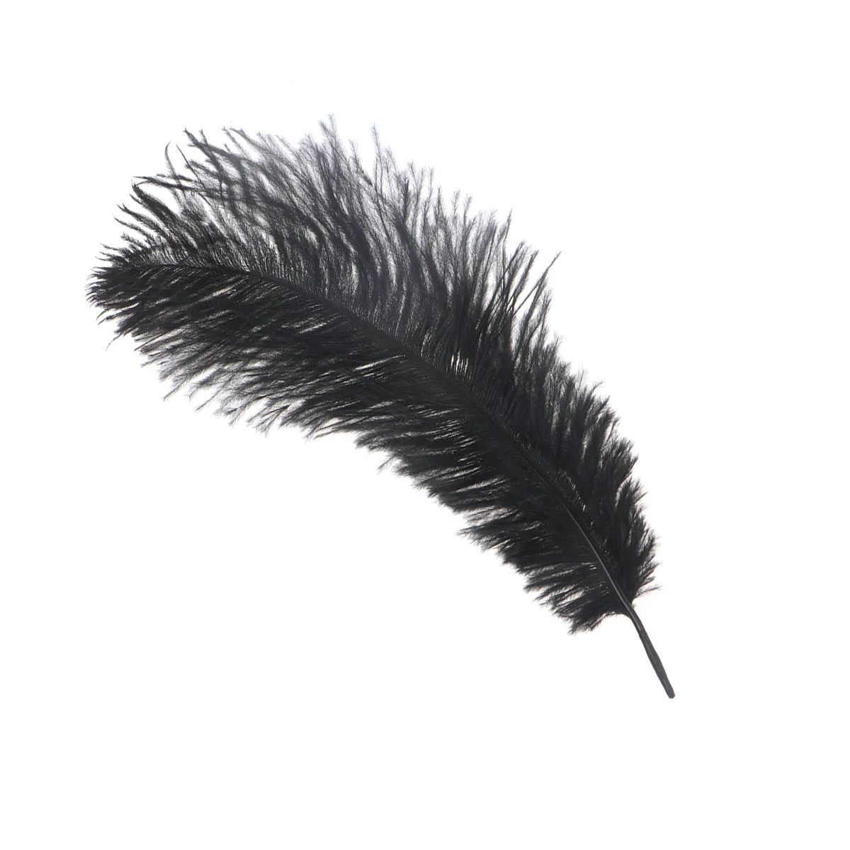 6Pcs Authentic Ostrich Natural Decorative for Wedding Party Home DIY Craft Accessories Black
6Pcs Authentic Ostrich Natural Decorative for Wedding Party Home DIY Craft Accessories Black