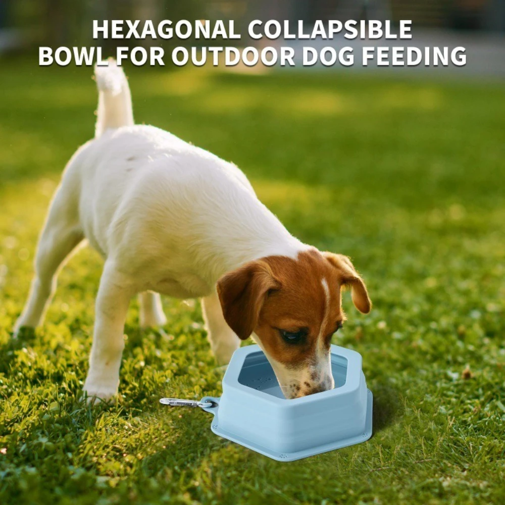 Anti-splash Travel Water Bowl for Dogs 700ml Large Capacity Drinker Drinking Bowls Dog Feeders for Puppy Cat Pet Accessories
Anti-splash Travel Water Bowl for Dogs 700ml Large Capacity Drinker Drinking Bowls Dog Feeders for Puppy Cat Pet Accessories