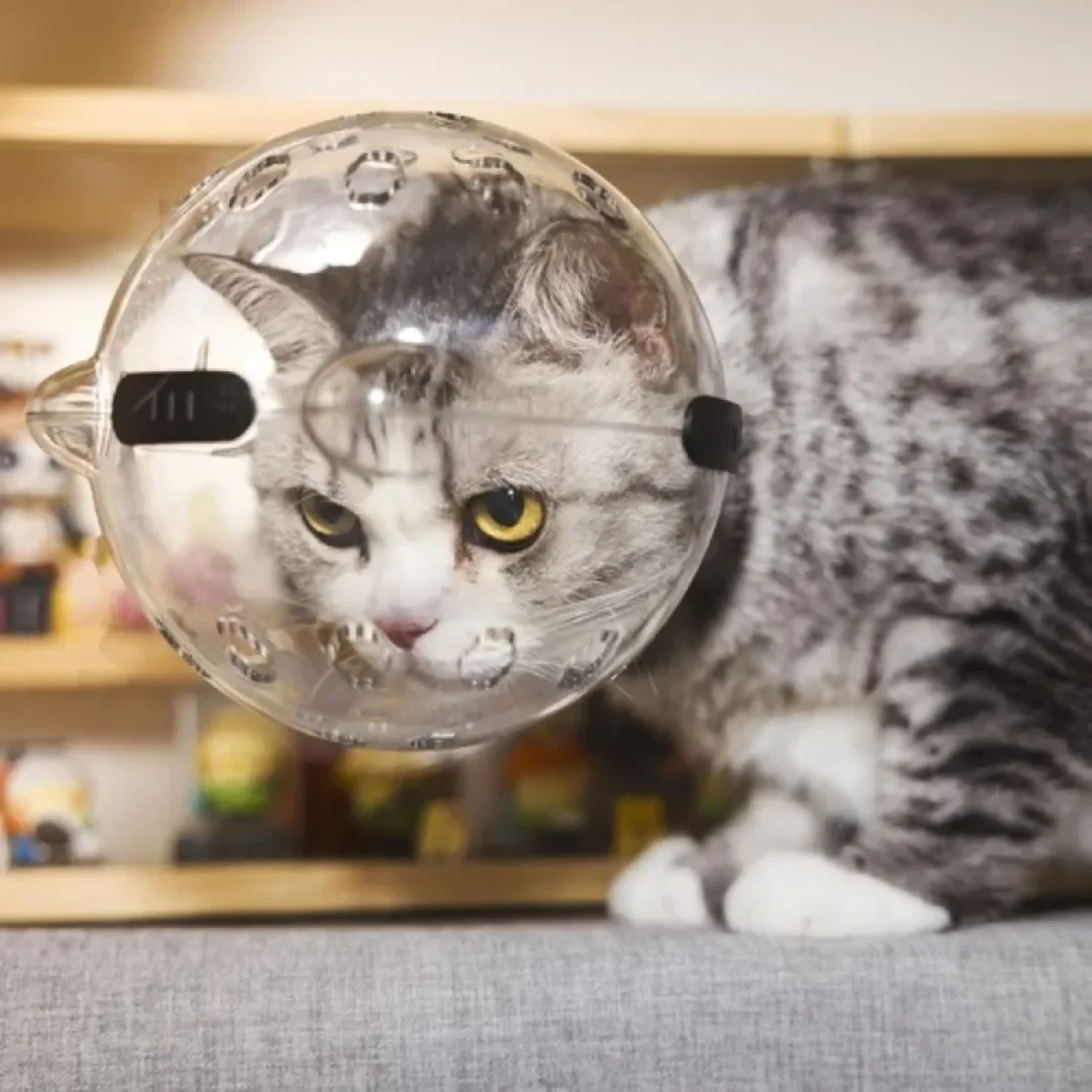 Cat protection ball, pet grooming accessories, breathable mask, swimming helmet, cat supplies
Cat protection ball, pet grooming accessories, breathable mask, swimming helmet, cat supplies