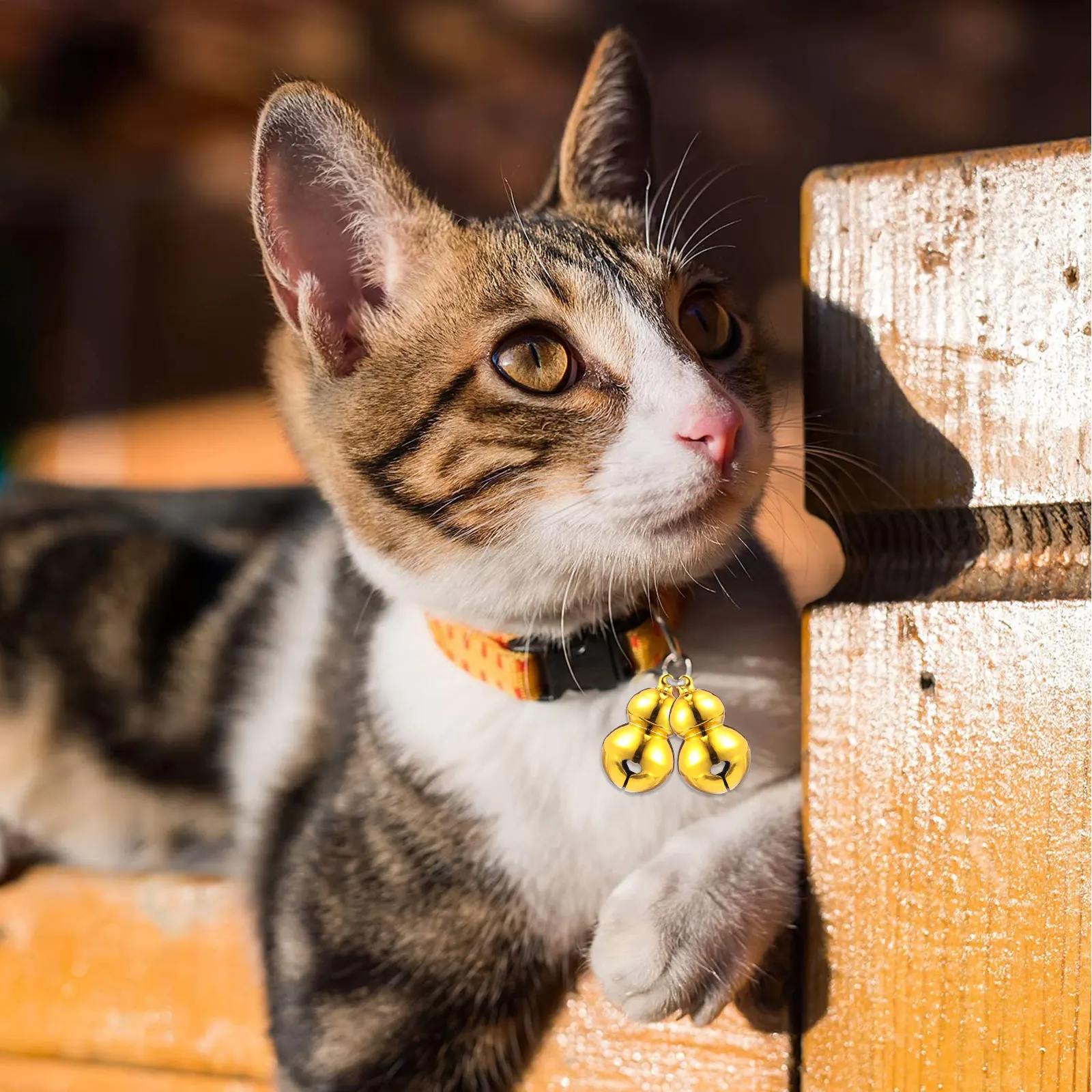 5 Pcs Gourd Bell Pet Decoration Dog Collar Accessories Cat Bells for Puppy Collars Hanging Pendant
5 Pcs Gourd Bell Pet Decoration Dog Collar Accessories Cat Bells for Puppy Collars Hanging Pendant