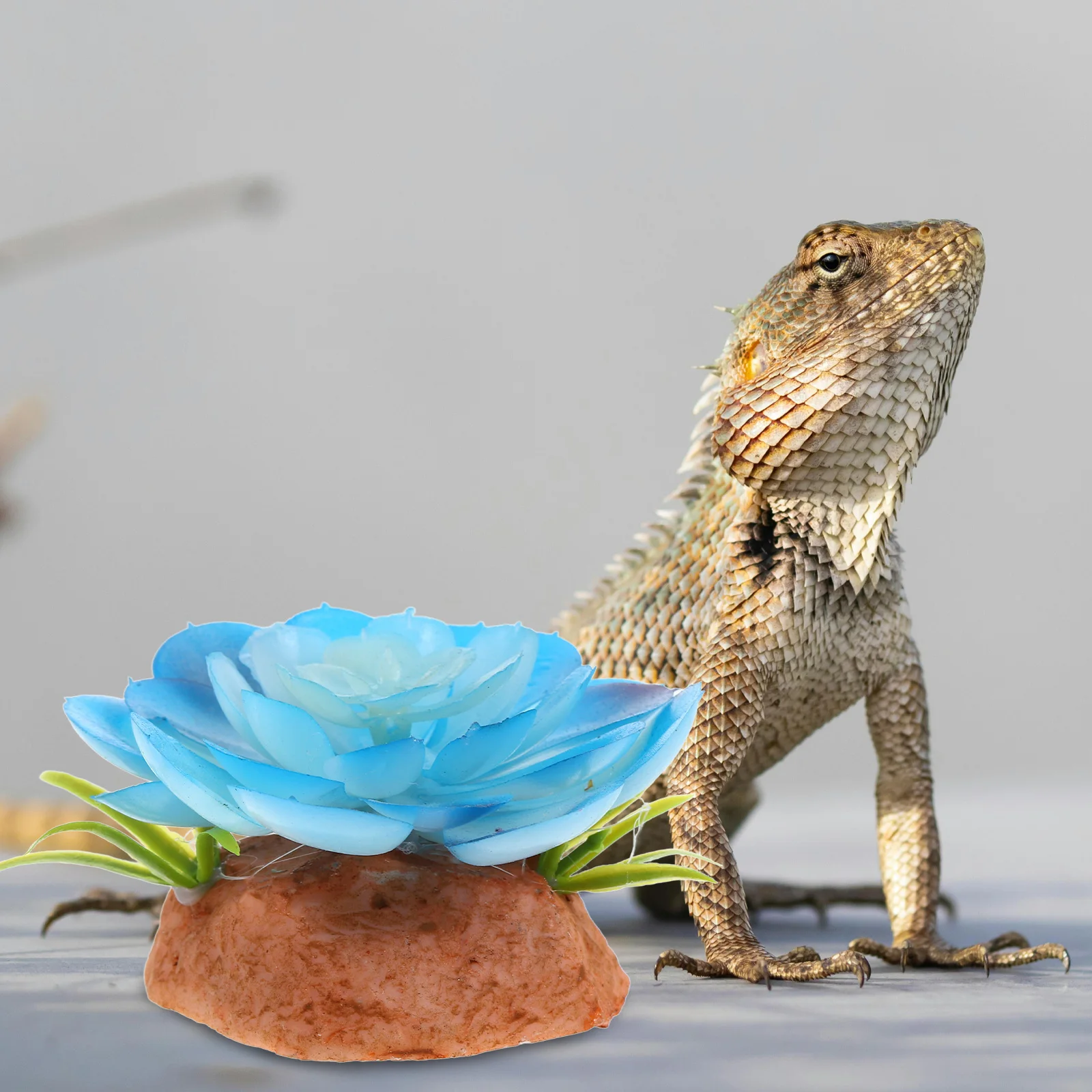 Fake Resin Plant Reptile Habitat Decor Stable Artificial Terrarium Plant Safe Hide for Aquarium Fish Tank Accessories
Fake Resin Plant Reptile Habitat Decor Stable Artificial Terrarium Plant Safe Hide for Aquarium Fish Tank Accessories