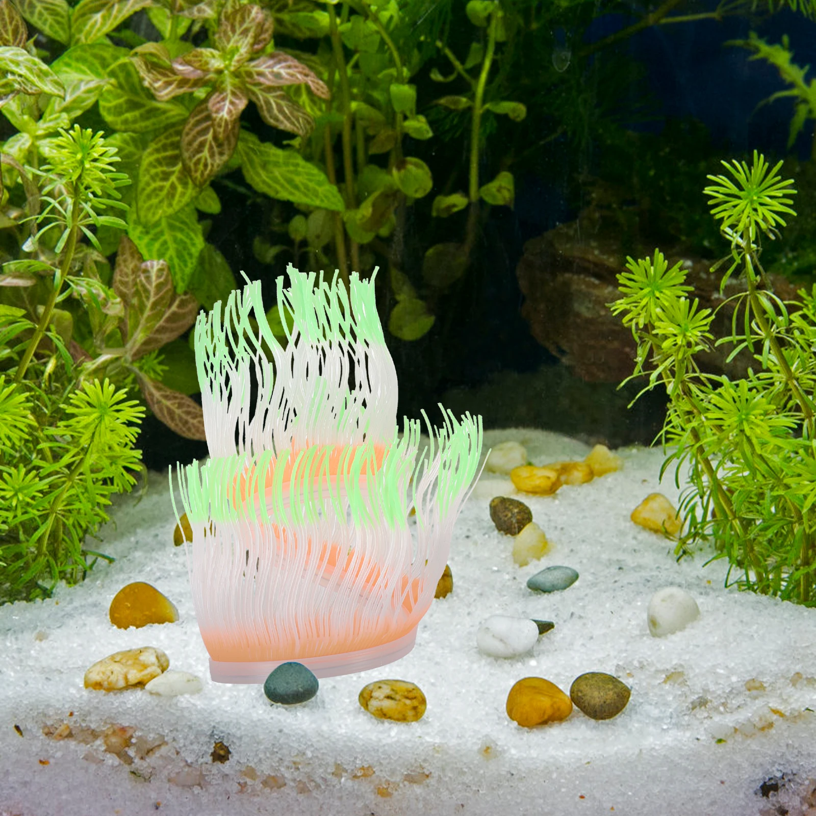 Anemone Coral Decoration Ornament Sea Decorations Fish Tank Landscaping Silica Gel Silicone Statue Aquarium Ornaments
Anemone Coral Decoration Ornament Sea Decorations Fish Tank Landscaping Silica Gel Silicone Statue Aquarium Ornaments