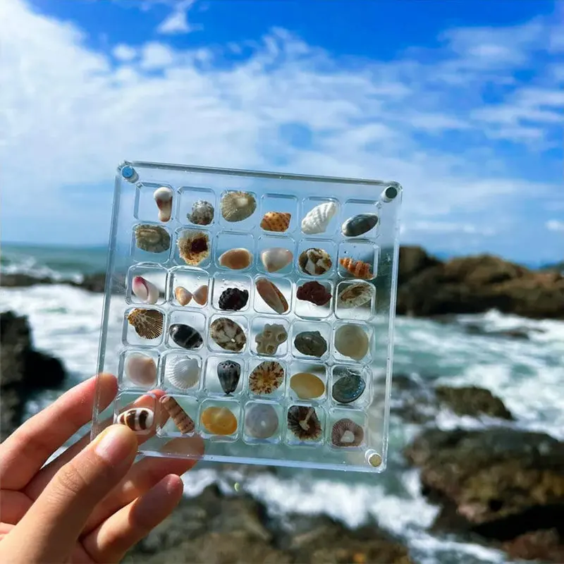 Acrylic Magnetic Seashell Display Box Seashell Storage Box Clear Acrylic Diamond Gemstone Beads Storage Display Organizer Box
Acrylic Magnetic Seashell Display Box Seashell Storage Box Clear Acrylic Diamond Gemstone Beads Storage Display Organizer Box