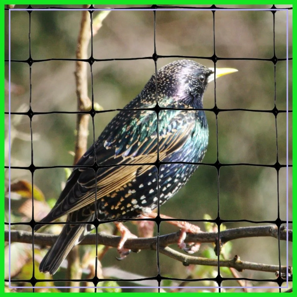 Bird Netting for Garden, UV-Stabilized Mesh, 3/4" Holes, Easy Install, 100'x14'
Bird Netting for Garden, UV-Stabilized Mesh, 3/4" Holes, Easy Install, 100'x14'