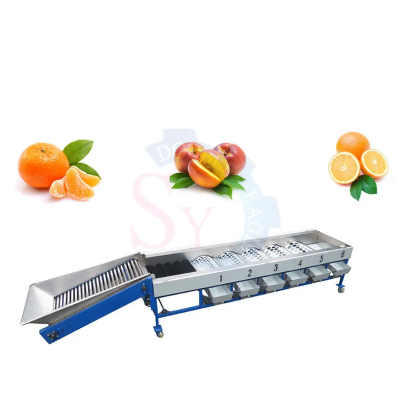 6T/H stainless steel roller drum type size olives grading machine/ Avocado, hawthorn cleaning and sorting machine
6T/H stainless steel roller drum type size olives grading machine/ Avocado, hawthorn cleaning and sorting machine