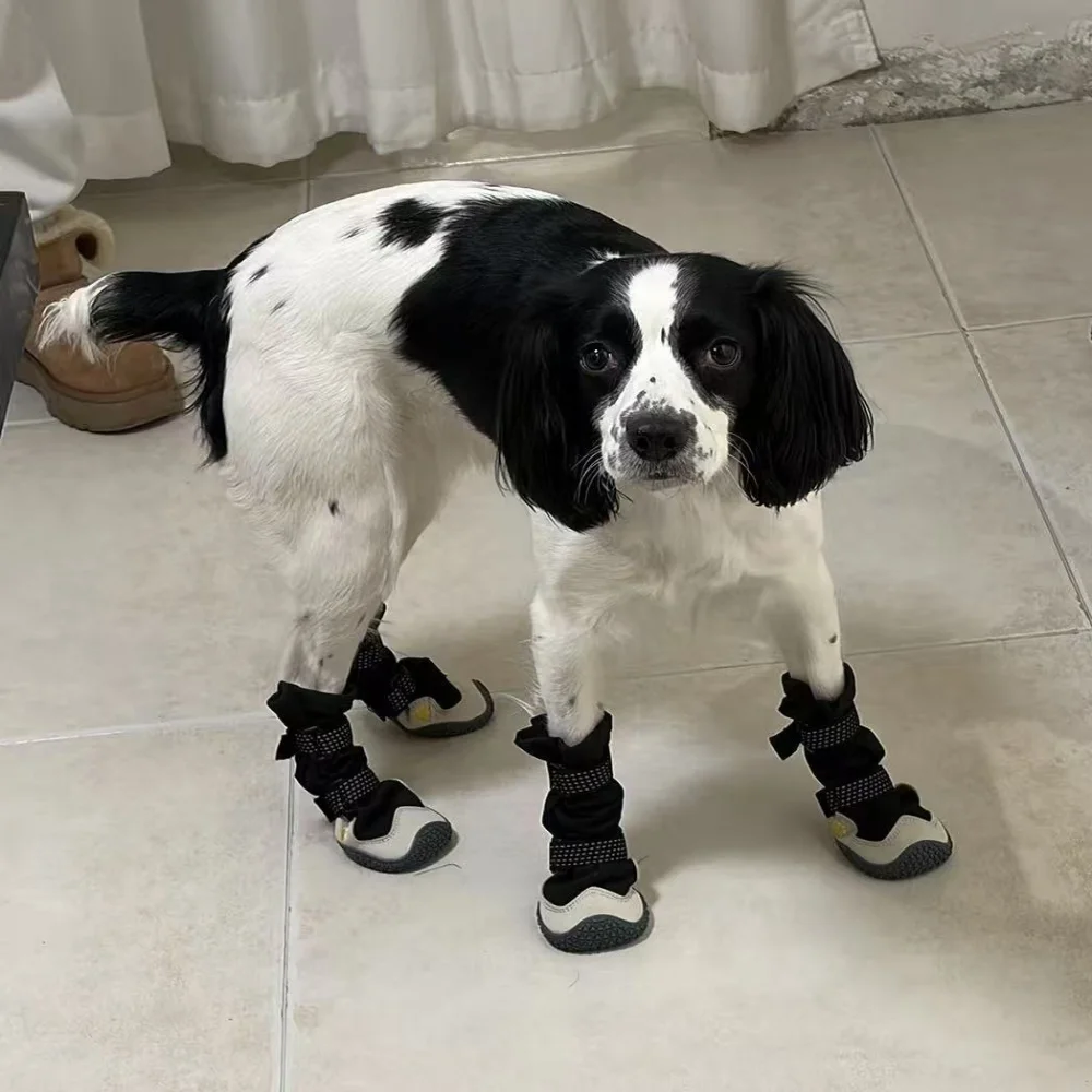4pcs Waterproof Dog Shoes Waterproof Rubber Dog Boots Breathable Warm Reflective Tape Dog Shoes Comfortable Non Slip
4pcs Waterproof Dog Shoes Waterproof Rubber Dog Boots Breathable Warm Reflective Tape Dog Shoes Comfortable Non Slip