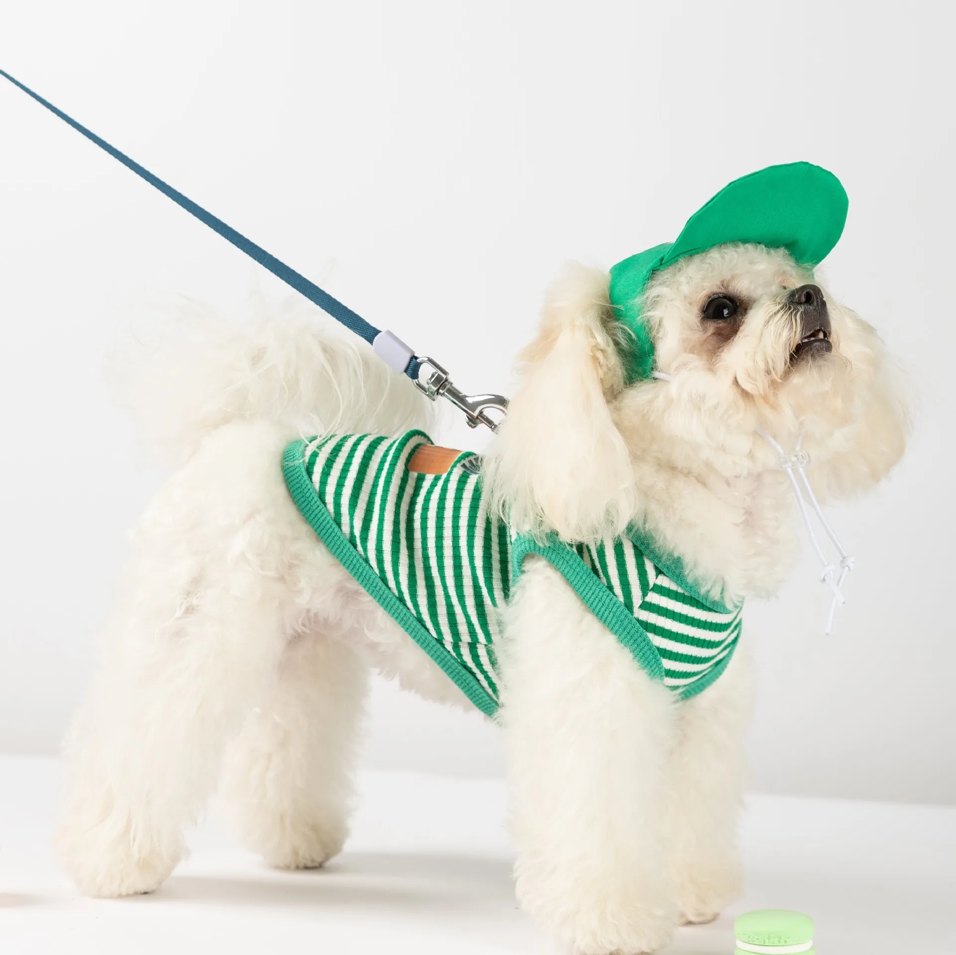 Puppy Green Striped Vest Small and Medium Dog Soft Sling Summer Outdoor Leashable Dog Clothes Pet T-Shirt with Hat
Puppy Green Striped Vest Small and Medium Dog Soft Sling Summer Outdoor Leashable Dog Clothes Pet T-Shirt with Hat
