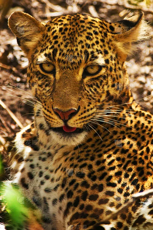 On-Road Drift Car Aluminum Alloy Metal Wheel Hub Climb Car Wheel Rim For 1/10 HSP Tamiya HPI Kyosho Sakura D5 TT02 Drift Hub
On-Road Drift Car Aluminum Alloy Metal Wheel Hub Climb Car Wheel Rim For 1/10 HSP Tamiya HPI Kyosho Sakura D5 TT02 Drift Hub