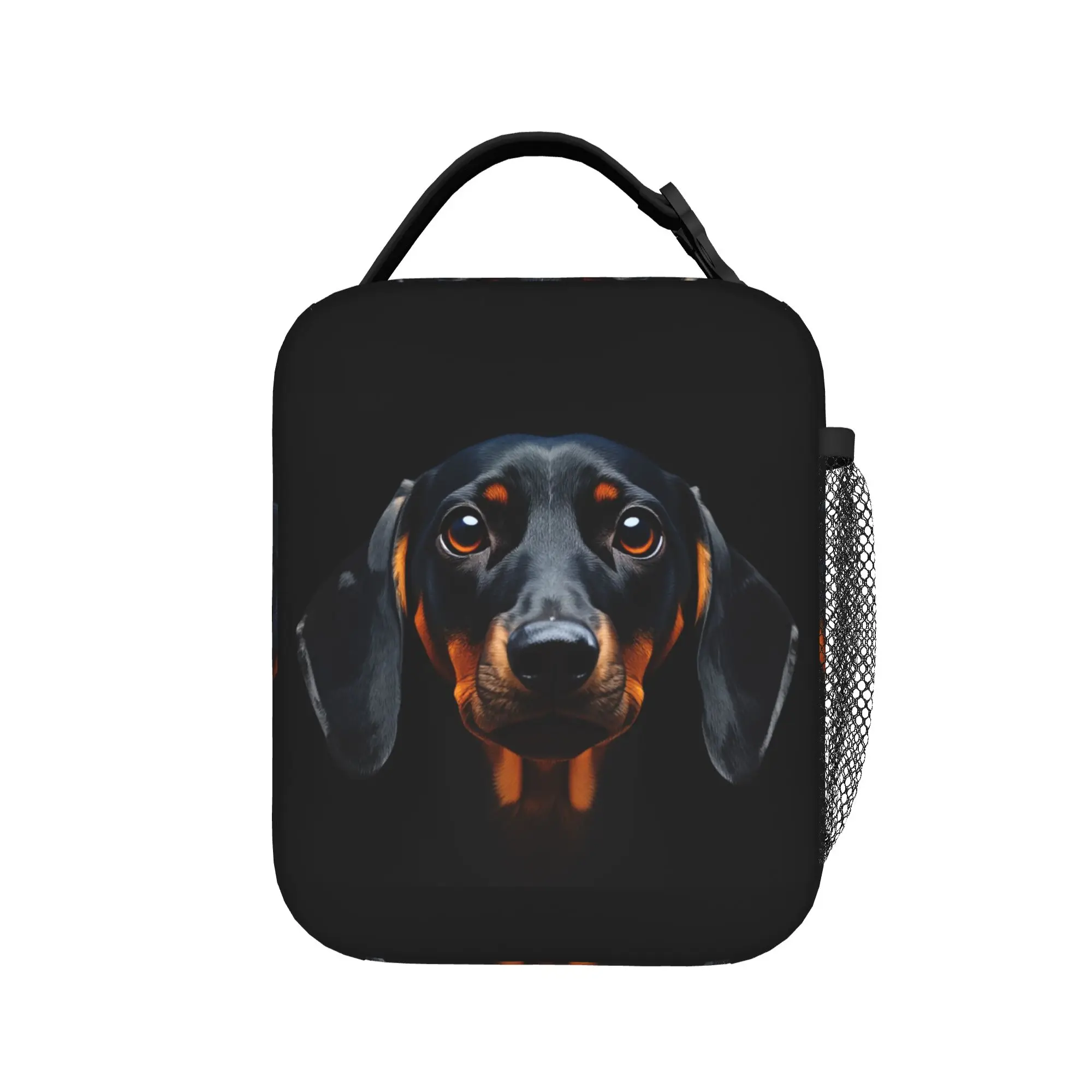 Realistic Black and Tan Dachshund Portrait Lunch Bag For Child School Graphic Lunch Box Casual Oxford Tote Food Bags
Realistic Black and Tan Dachshund Portrait Lunch Bag For Child School Graphic Lunch Box Casual Oxford Tote Food Bags