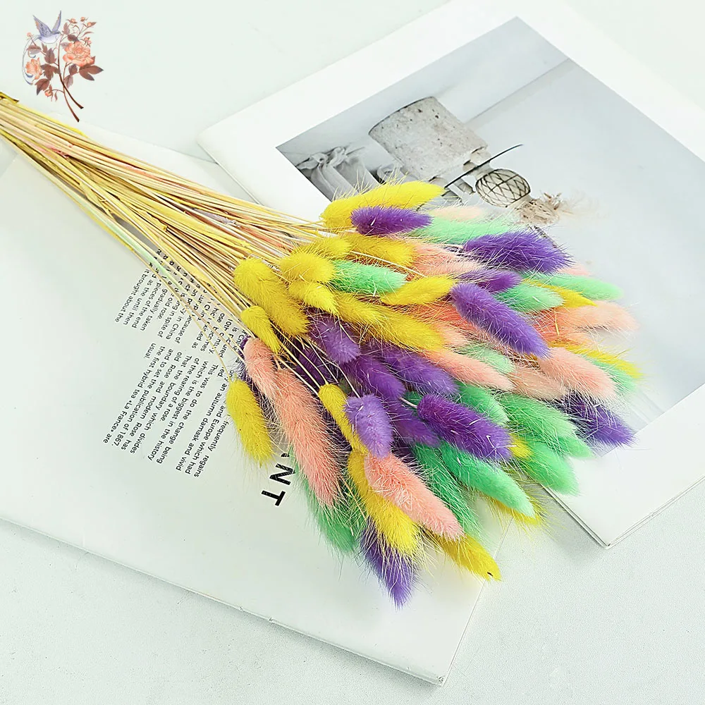 60Pcs Mix Dried Bunny Tail Grass Natural Flowers Bouquet Boho Home Table Vase Decor Preserved Lagurus Ovatus Photography Props
60Pcs Mix Dried Bunny Tail Grass Natural Flowers Bouquet Boho Home Table Vase Decor Preserved Lagurus Ovatus Photography Props