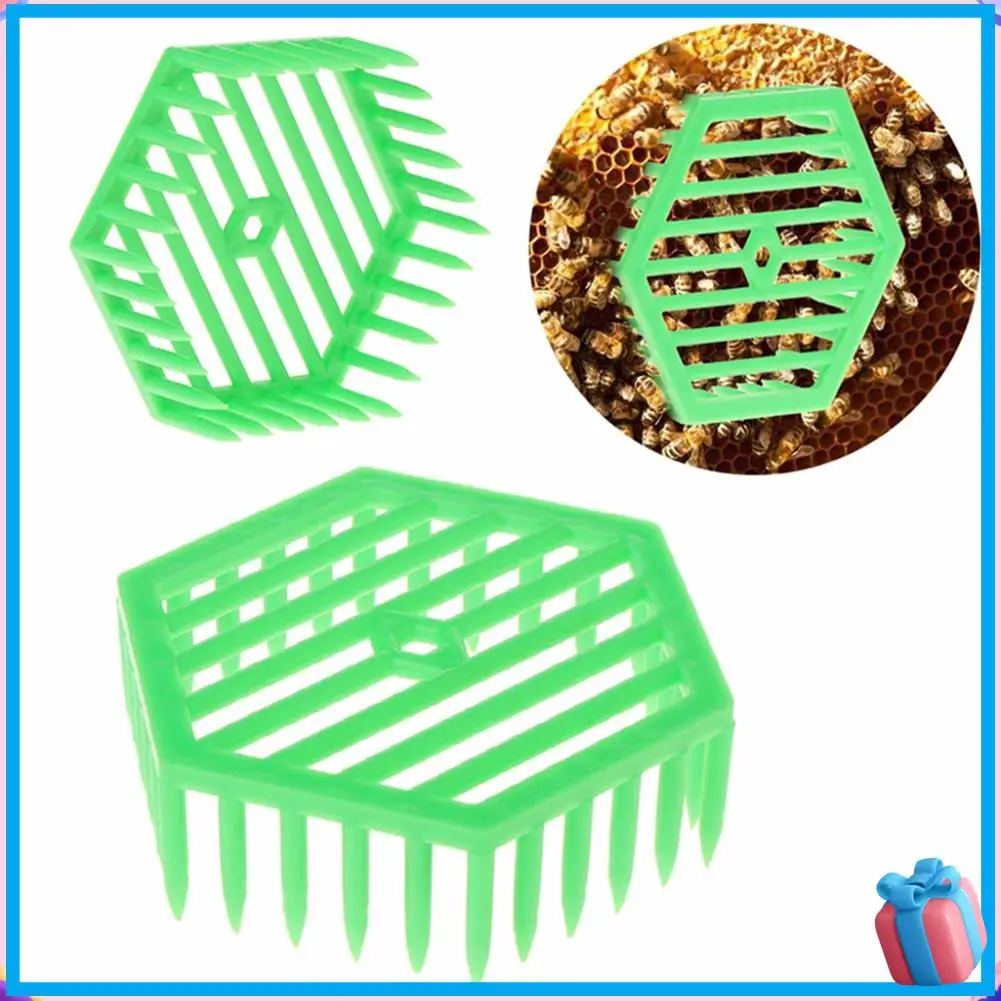 Discount Beekeeping Queen Needle Type Bee Cage Queen Cage Beekeeper Tool Beekeeping Equipment Beekeeping Supplies
Discount Beekeeping Queen Needle Type Bee Cage Queen Cage Beekeeper Tool Beekeeping Equipment Beekeeping Supplies