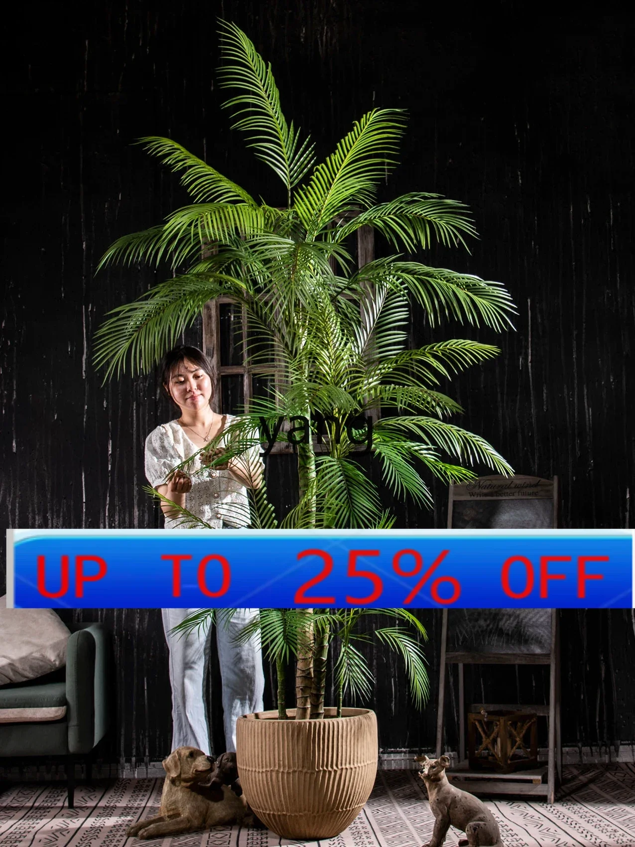 LM Large Simulation Plant Palm Tree Indoor Living Room Fake Trees Potted Plant Landscaping Decoration
LM Large Simulation Plant Palm Tree Indoor Living Room Fake Trees Potted Plant Landscaping Decoration