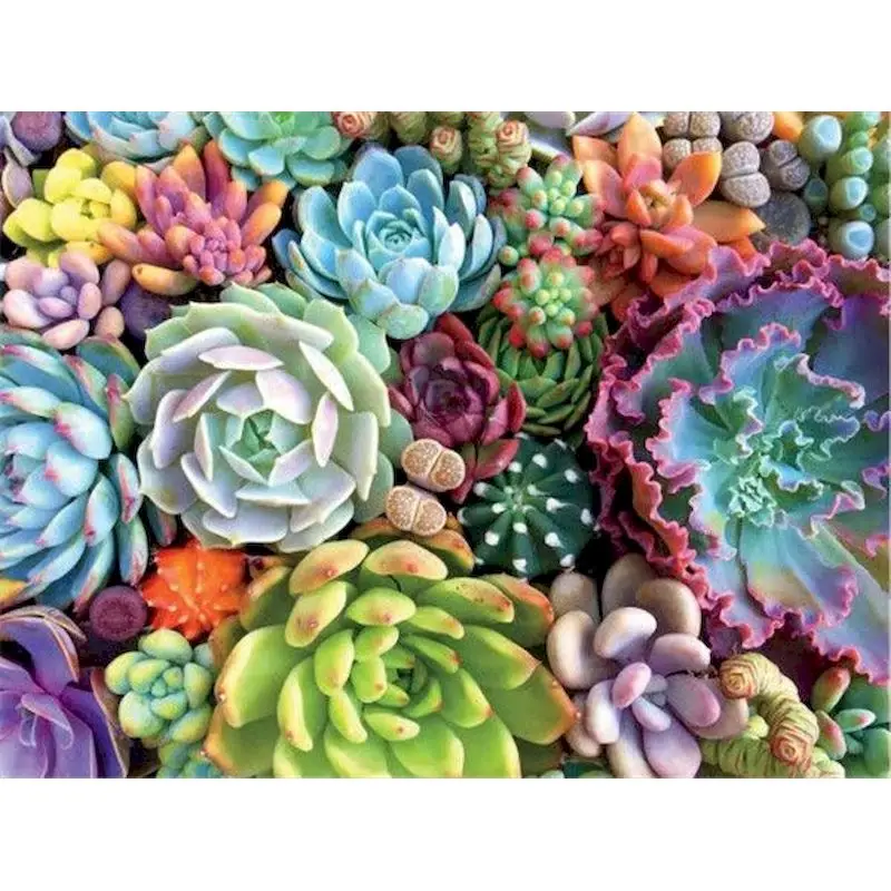 GATYZTORY Painting By Number Succulent Picture DIY Framed On Canvas Home Living Room Decor Wall Artwork 40x50cm Framed On Canvas
GATYZTORY Painting By Number Succulent Picture DIY Framed On Canvas Home Living Room Decor Wall Artwork 40x50cm Framed On Canvas