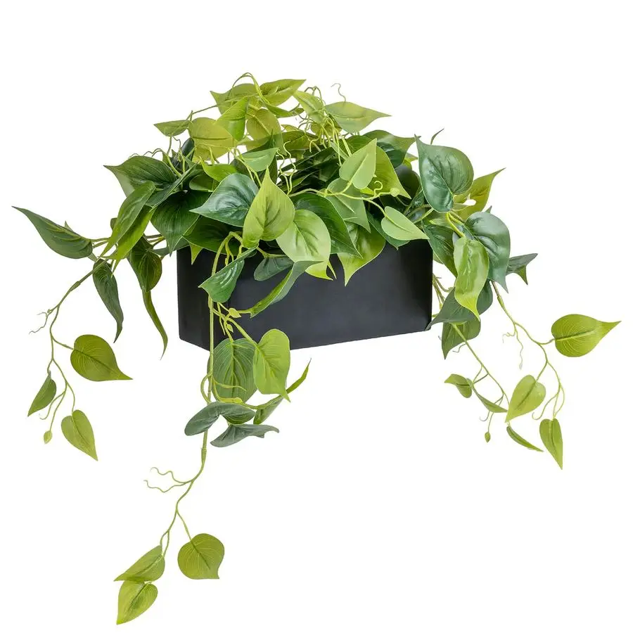 Яркая, реалистичная искусственная листва погоща в прямоугольном черном бетонном кашпо
Яркая, реалистичная искусственная листва погоща в прямоугольном черном бетонном кашпо