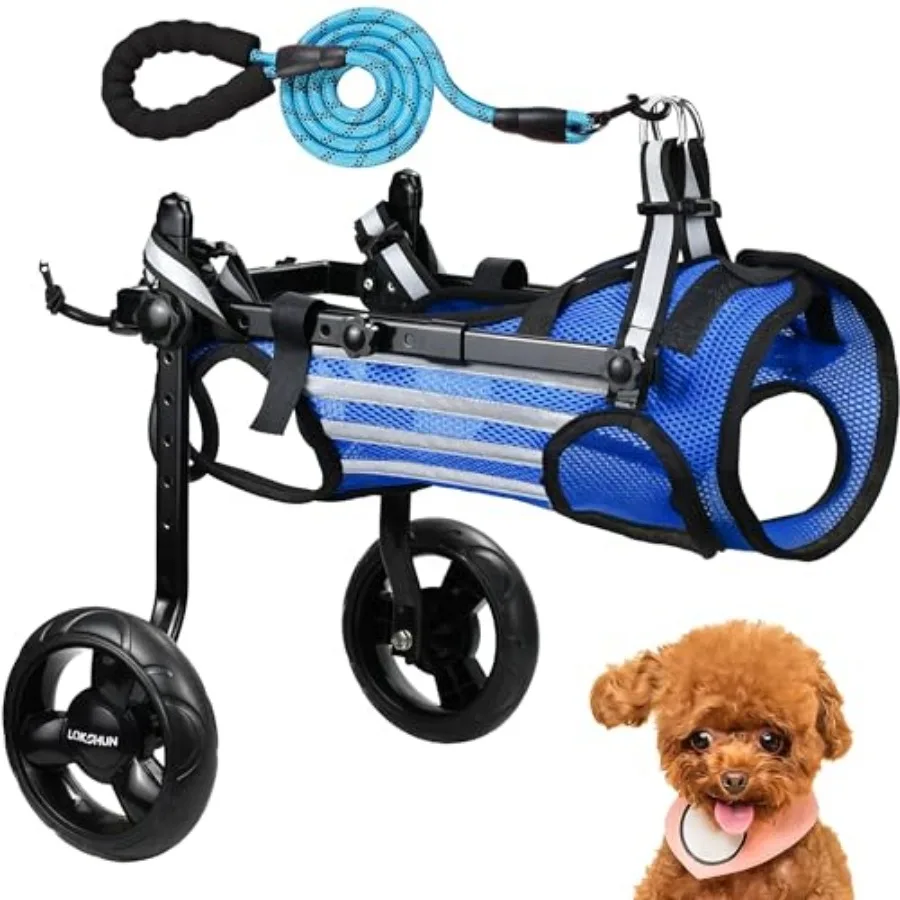 2025 Upgraded Dog Wheelchair for Back Legs Sall Wheelchair for Dogs with Disabled Hind Legs Walking Adjustable Dog Carts with H
2025 Upgraded Dog Wheelchair for Back Legs Sall Wheelchair for Dogs with Disabled Hind Legs Walking Adjustable Dog Carts with H