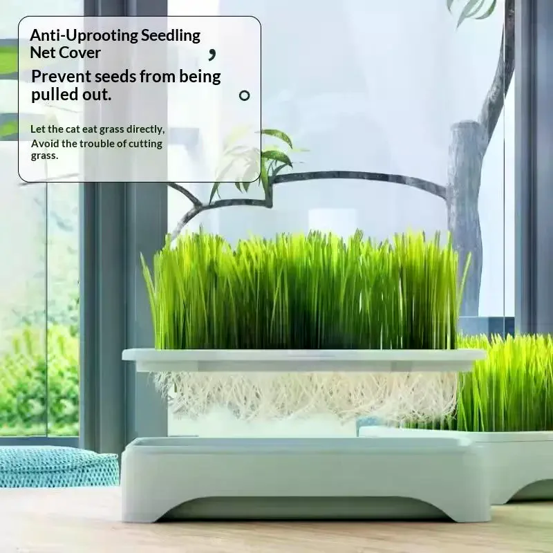 Pet Cat Grass Planting Basin Soilless Culture Wheat Seedling Pot Kitten Grass Hydroponic Device Horticultural Planting Pot
Pet Cat Grass Planting Basin Soilless Culture Wheat Seedling Pot Kitten Grass Hydroponic Device Horticultural Planting Pot