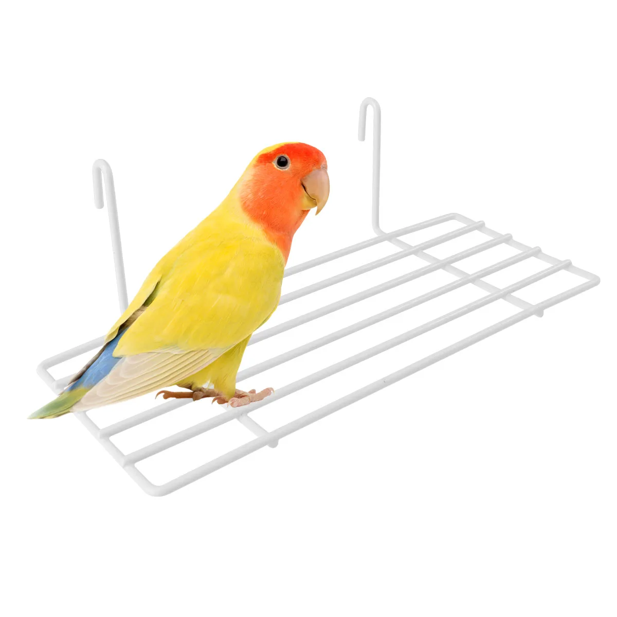 Birdcage Perch Grid Wall Shelf Iron Frame Storage Small Plant Photo White Cockatiel Budgie Parrot Accessories Sturdy
Birdcage Perch Grid Wall Shelf Iron Frame Storage Small Plant Photo White Cockatiel Budgie Parrot Accessories Sturdy