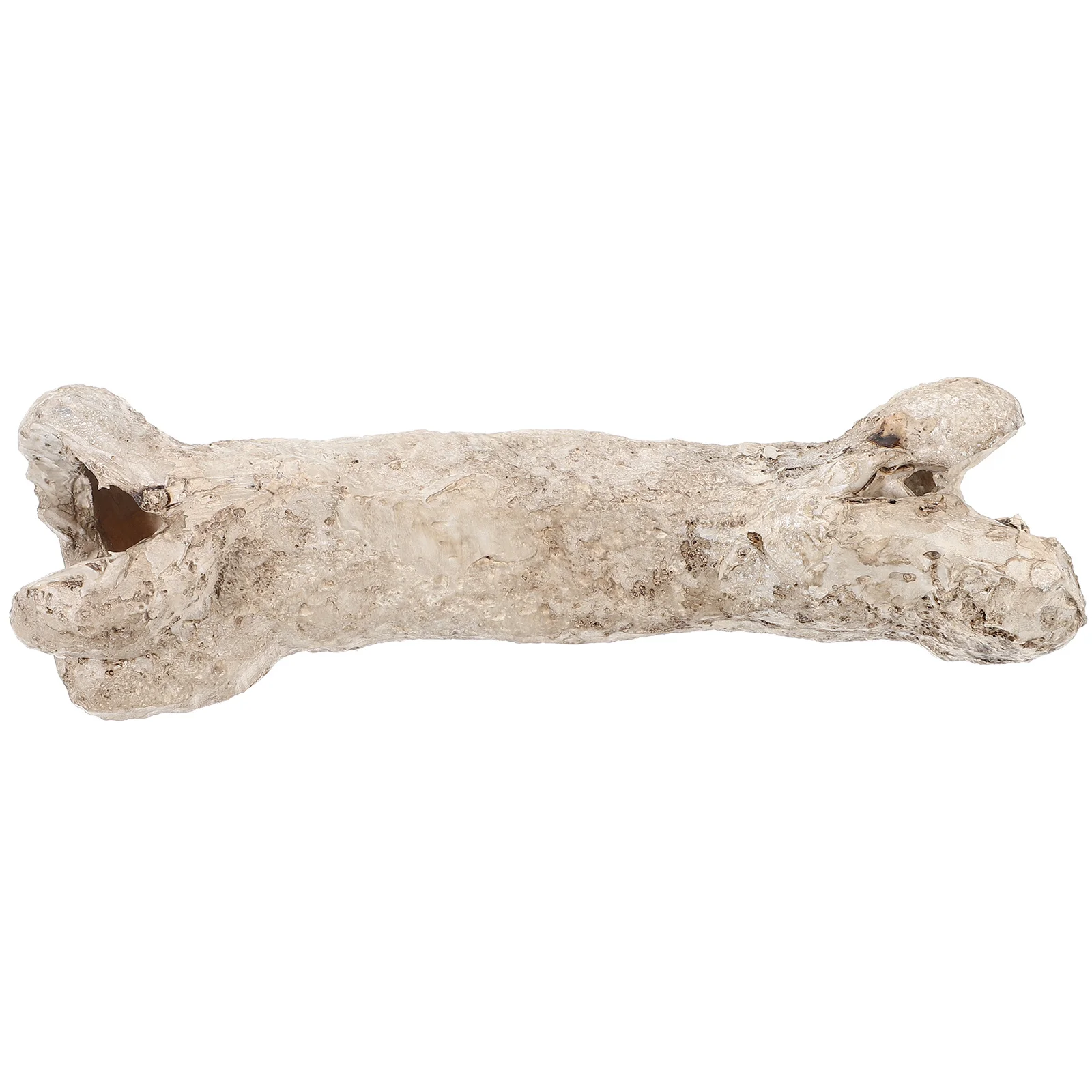 Resin Bone Reptile Shelter Durable Hideout Cave Turtle Lizard Hiding Place Terrarium Decoration Reptile Tank Accessory
Resin Bone Reptile Shelter Durable Hideout Cave Turtle Lizard Hiding Place Terrarium Decoration Reptile Tank Accessory