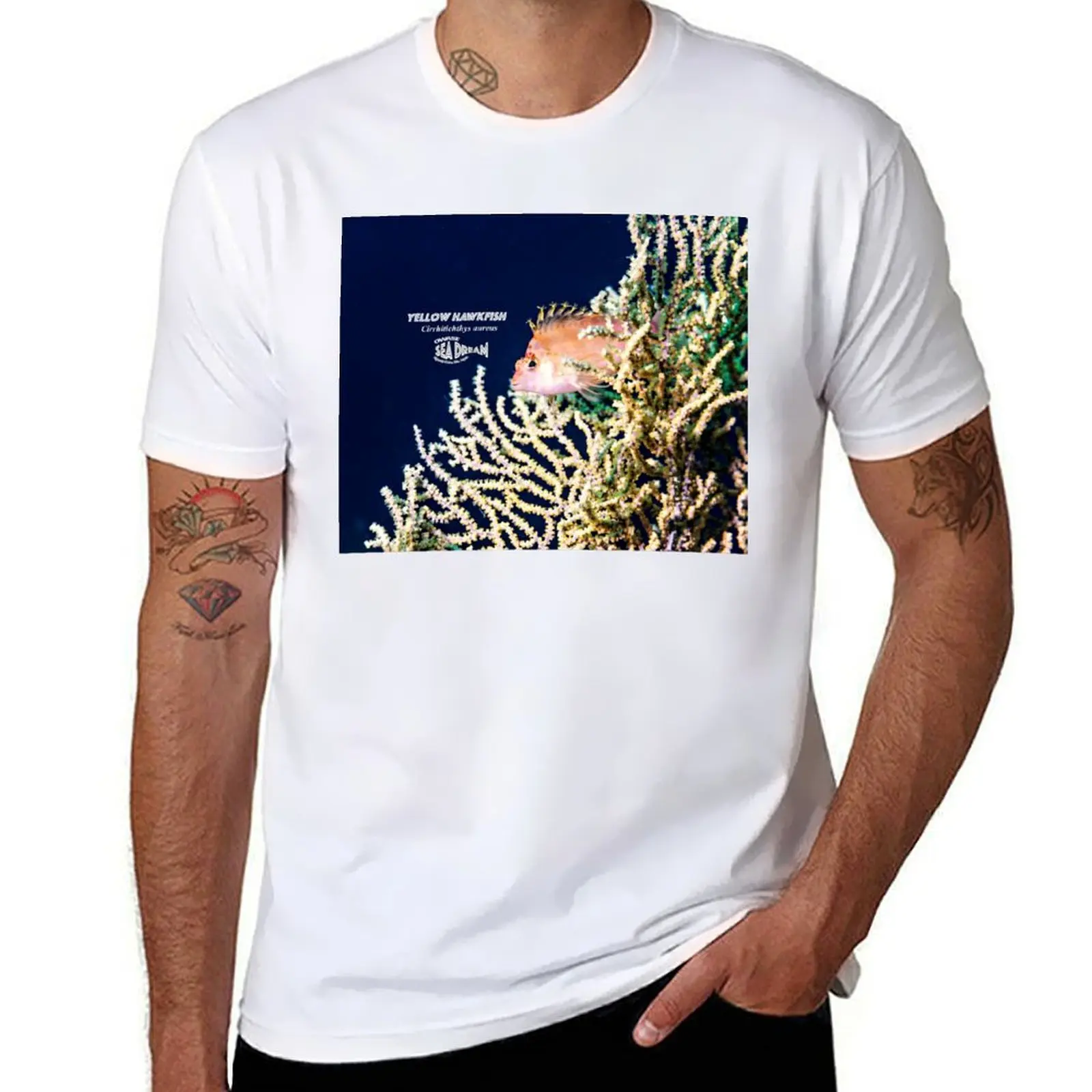 Cute Yellow Hawkfish onthe sea-fan. T-Shirt t shirt man plain t shirt for man 100 percent cotton T-Shirt
Cute Yellow Hawkfish onthe sea-fan. T-Shirt t shirt man plain t shirt for man 100 percent cotton T-Shirt