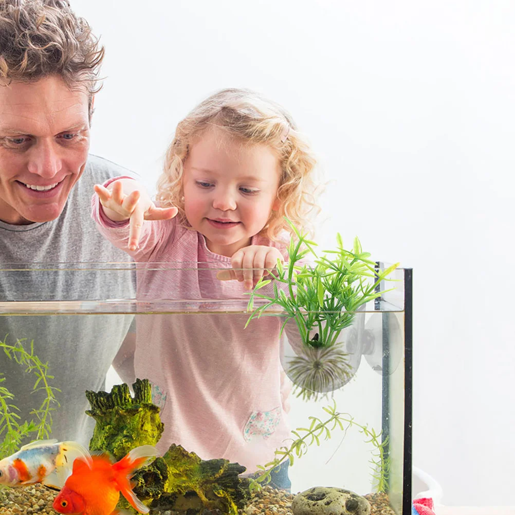 10Pcs Suction Cup Aquarium Planter Transparent Mounting Cup for Hydroponic Plants Fish Tank Decoration Living Aquatic Garden
10Pcs Suction Cup Aquarium Planter Transparent Mounting Cup for Hydroponic Plants Fish Tank Decoration Living Aquatic Garden