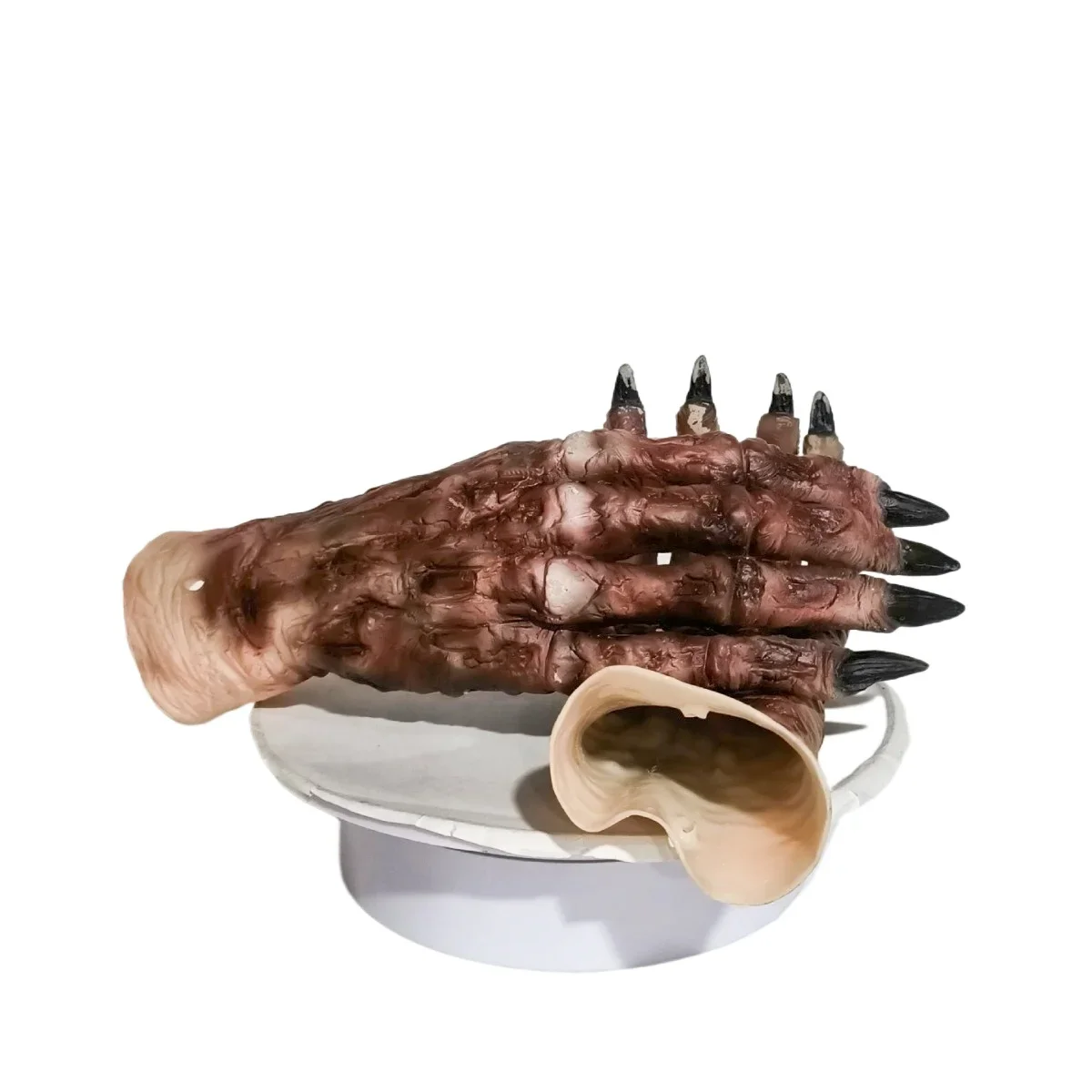 Zombie Hand Gloves for Adult Kids Latex Skull Gloves Ghost Costume Props Halloween Horror Wolf Claw Scary Demon Cosplay Props
Zombie Hand Gloves for Adult Kids Latex Skull Gloves Ghost Costume Props Halloween Horror Wolf Claw Scary Demon Cosplay Props