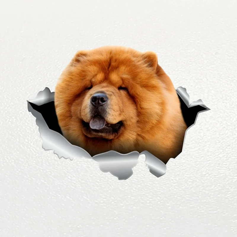 V1043# Car Sticker Chow Chow Dog Pet Animal Waterproof Vinyl Decal Car Accessories Decor Pegatinas Para Coche
V1043# Car Sticker Chow Chow Dog Pet Animal Waterproof Vinyl Decal Car Accessories Decor Pegatinas Para Coche