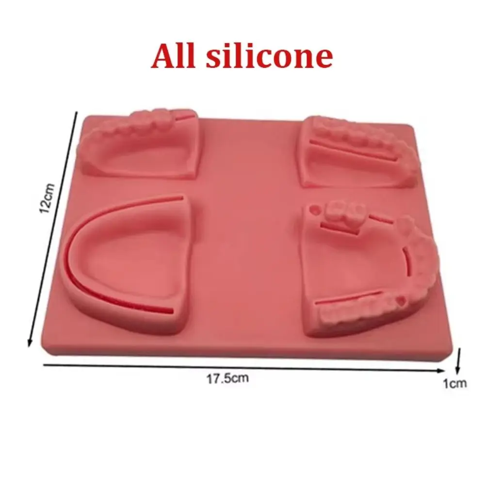 Silicone Dental Oral/Gum Suture Model 4 Wound Types Simulation Oral Skin Suture Pad Suturing Practice Soft
Silicone Dental Oral/Gum Suture Model 4 Wound Types Simulation Oral Skin Suture Pad Suturing Practice Soft