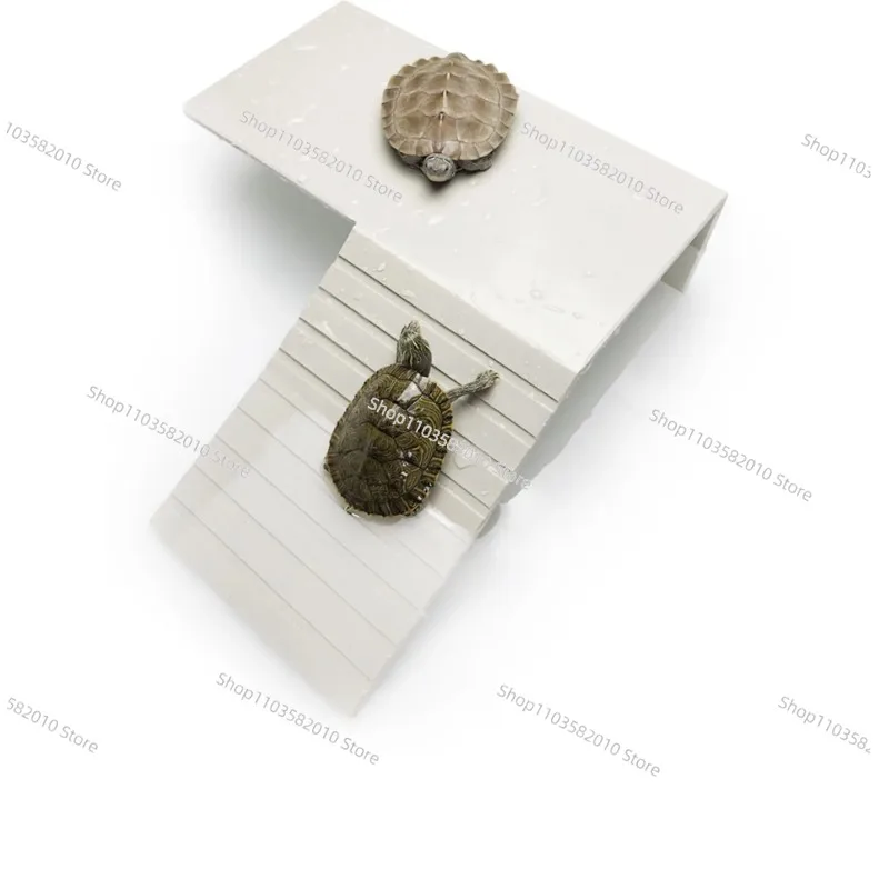 Turtle Friends World Brazilian Vat Sunning Platform Turtle Box Climbing Platform Floating Island Floating Platform Escape
Turtle Friends World Brazilian Vat Sunning Platform Turtle Box Climbing Platform Floating Island Floating Platform Escape