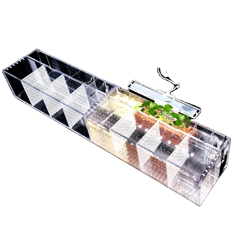Factory Direct Sale Free Water Bucket Fish tank Acrylic Isolation Small Fish tank Jellyfish Breeding Box
Factory Direct Sale Free Water Bucket Fish tank Acrylic Isolation Small Fish tank Jellyfish Breeding Box