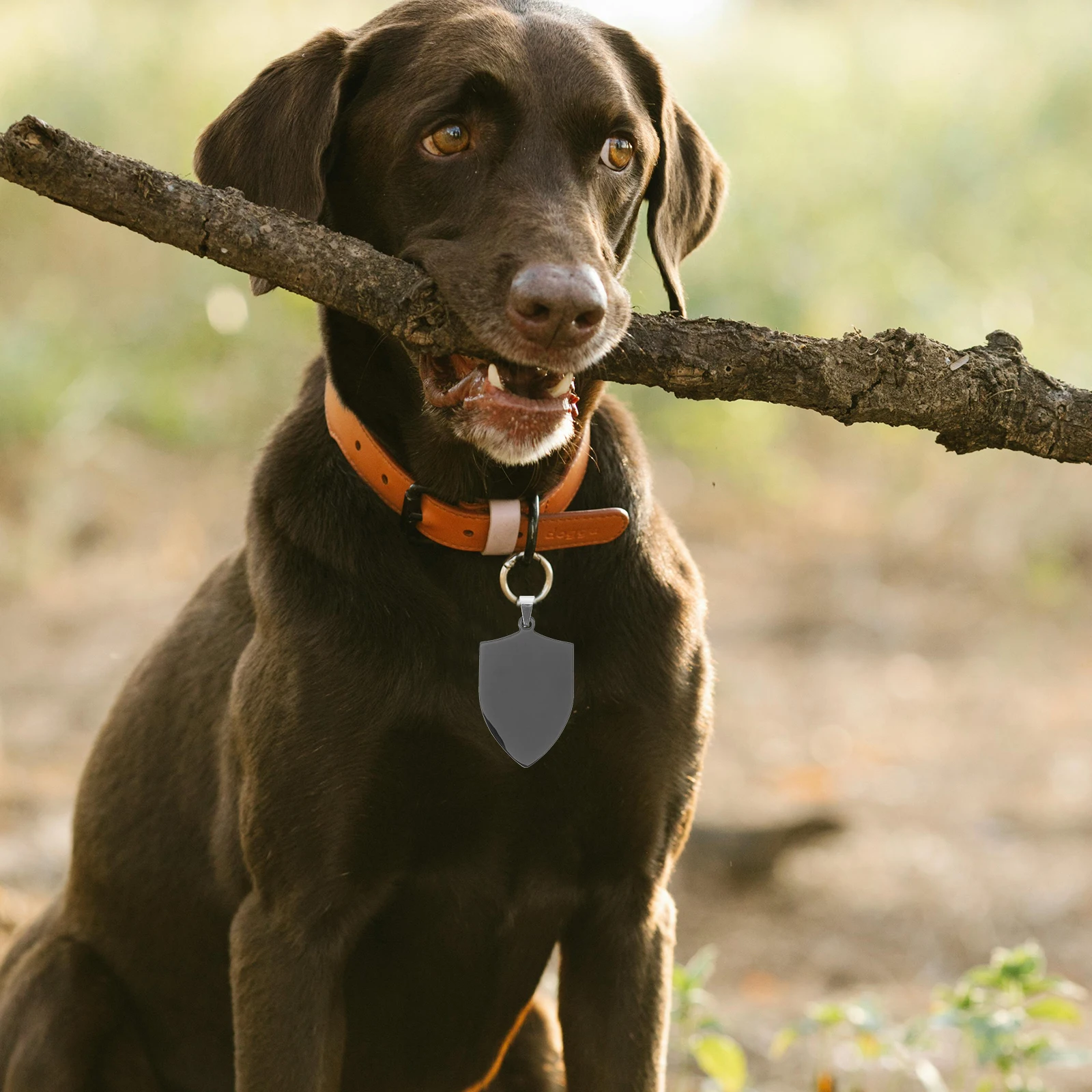 2Pcs Stainless Steel Blank Dog Tags Pet Name Id Tag for Dogs Puppies Shield Style Rust Resistant Hanging Pendant Accessory
2Pcs Stainless Steel Blank Dog Tags Pet Name Id Tag for Dogs Puppies Shield Style Rust Resistant Hanging Pendant Accessory