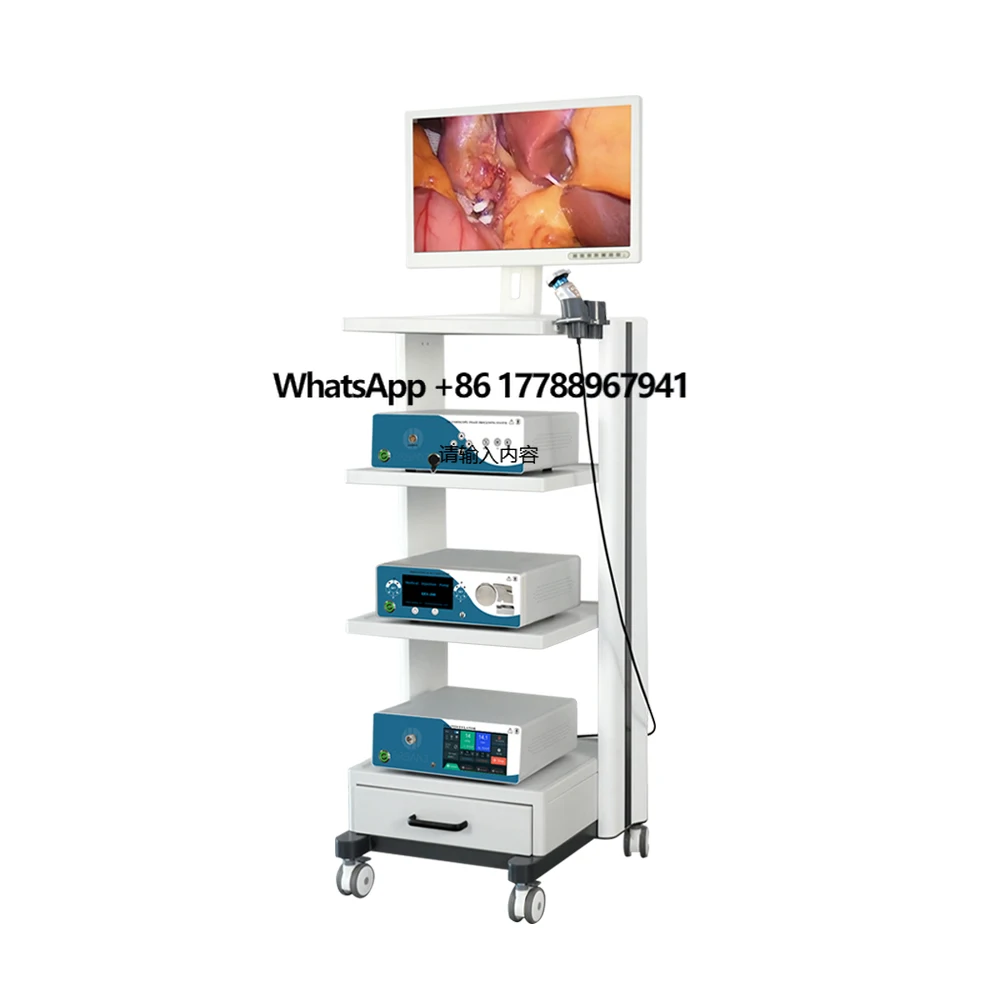 Profession Medical Equipment Video Endoscopy and Tower ENT Laparoscopy Hysteroscopy Urology Imaging System
Profession Medical Equipment Video Endoscopy and Tower ENT Laparoscopy Hysteroscopy Urology Imaging System