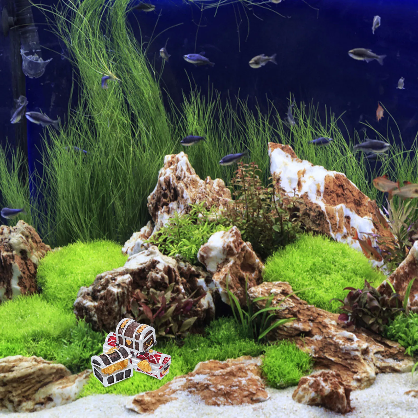 4 Pcs Miniature Treasure Chests Design Aquarium Fish Tank Decoration Resin Durable Storage Boxes Pet Supplies
4 Pcs Miniature Treasure Chests Design Aquarium Fish Tank Decoration Resin Durable Storage Boxes Pet Supplies