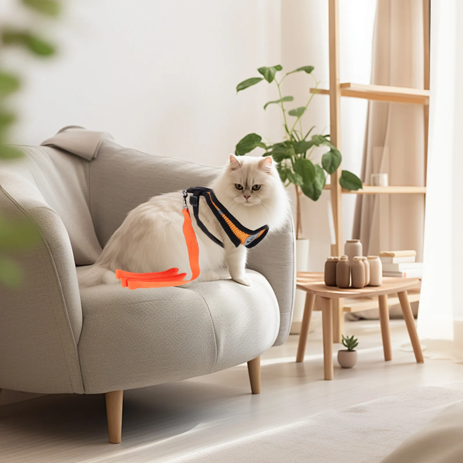 Mesh Cat Harness Pet Halter Harness Vest with Padded Panels for Small Medium Cats Dogs Size S (Orange)
Mesh Cat Harness Pet Halter Harness Vest with Padded Panels for Small Medium Cats Dogs Size S (Orange)