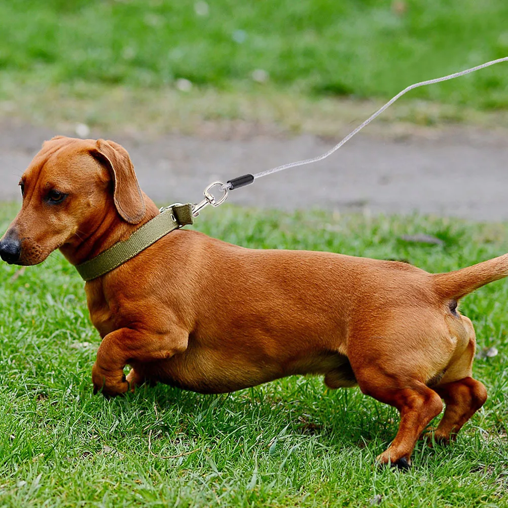 1Pcs Double Head Dog Chain Anti-Bite Steel Wire Tie Out Cable 50ft Long Outdoor Pet Pull Rope Durable Dog Traction Strap
1Pcs Double Head Dog Chain Anti-Bite Steel Wire Tie Out Cable 50ft Long Outdoor Pet Pull Rope Durable Dog Traction Strap