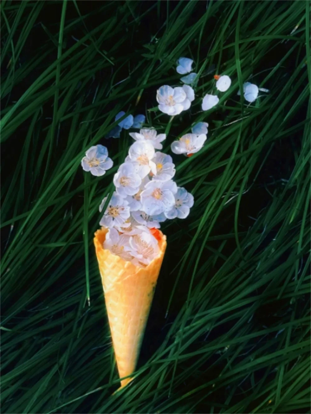 Simulation Crispy Big Mac Real Gelato Ice Cream Cone ASMR Sound Waff Model Food DIY Props Sameple Flower Bouquet Festival Ikeban
Simulation Crispy Big Mac Real Gelato Ice Cream Cone ASMR Sound Waff Model Food DIY Props Sameple Flower Bouquet Festival Ikeban
