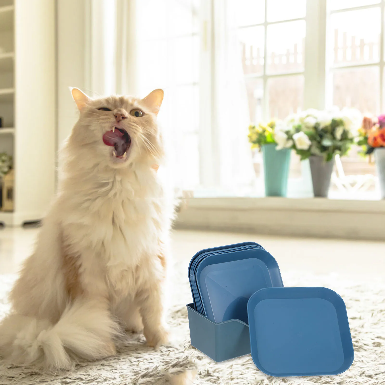 1 Set Pp Material Square Bowl Nonslip Flat Bottom Sturdy Pet Food Dish Small Cat Feeder Easy Clean For Indoor Cats Hamsters
1 Set Pp Material Square Bowl Nonslip Flat Bottom Sturdy Pet Food Dish Small Cat Feeder Easy Clean For Indoor Cats Hamsters