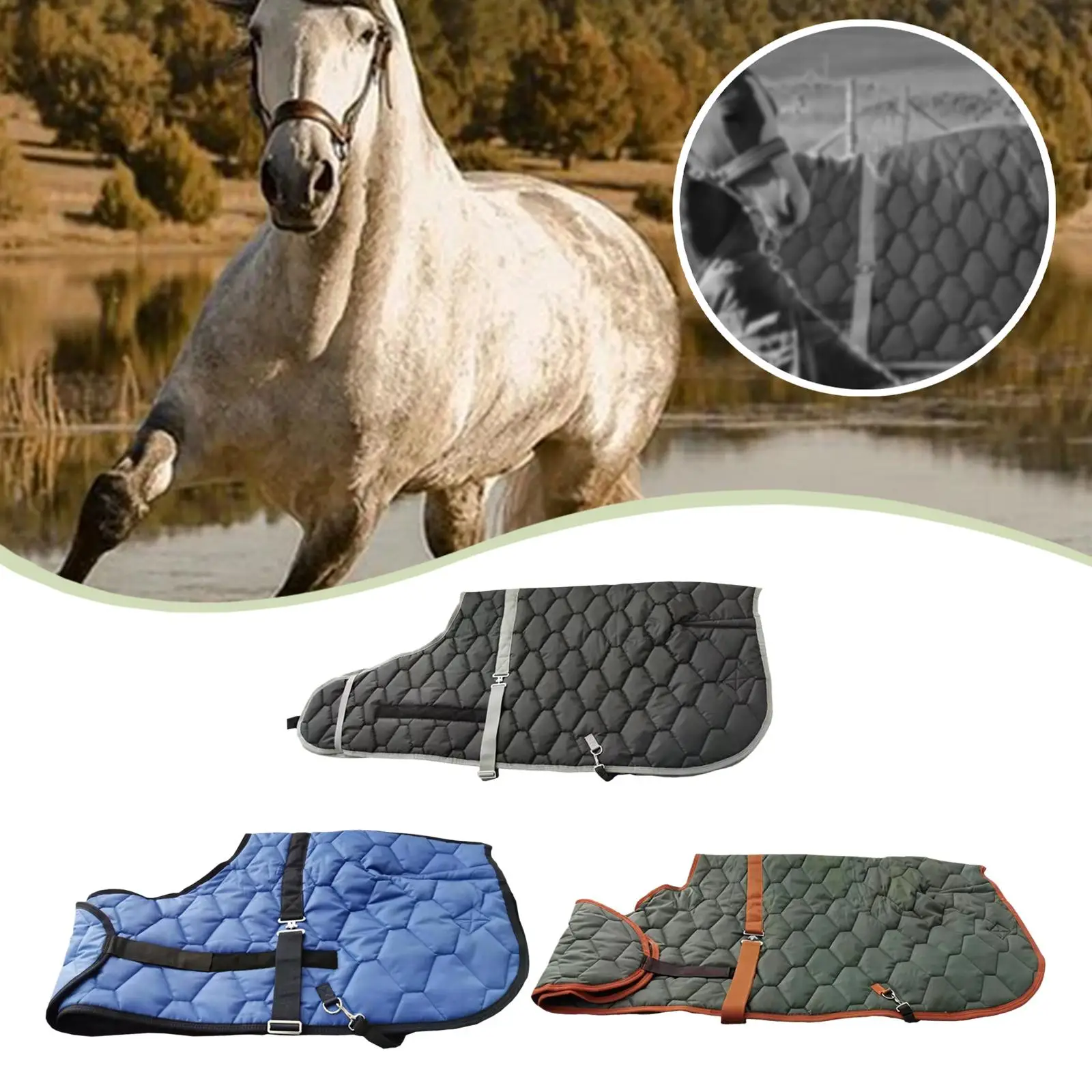Horse Winter Rug Warm Thickened Waterproof Blanket with Leg Straps for Equestrian Outdoor Use
Horse Winter Rug Warm Thickened Waterproof Blanket with Leg Straps for Equestrian Outdoor Use