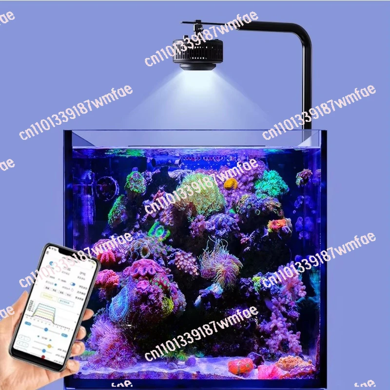 100W A7III Intelligent ApplicationControl AquariumCoral Light Full Spectrum BrineMarine Light Emitting DiodeCoral Reef WaterTank
100W A7III Intelligent ApplicationControl AquariumCoral Light Full Spectrum BrineMarine Light Emitting DiodeCoral Reef WaterTank
