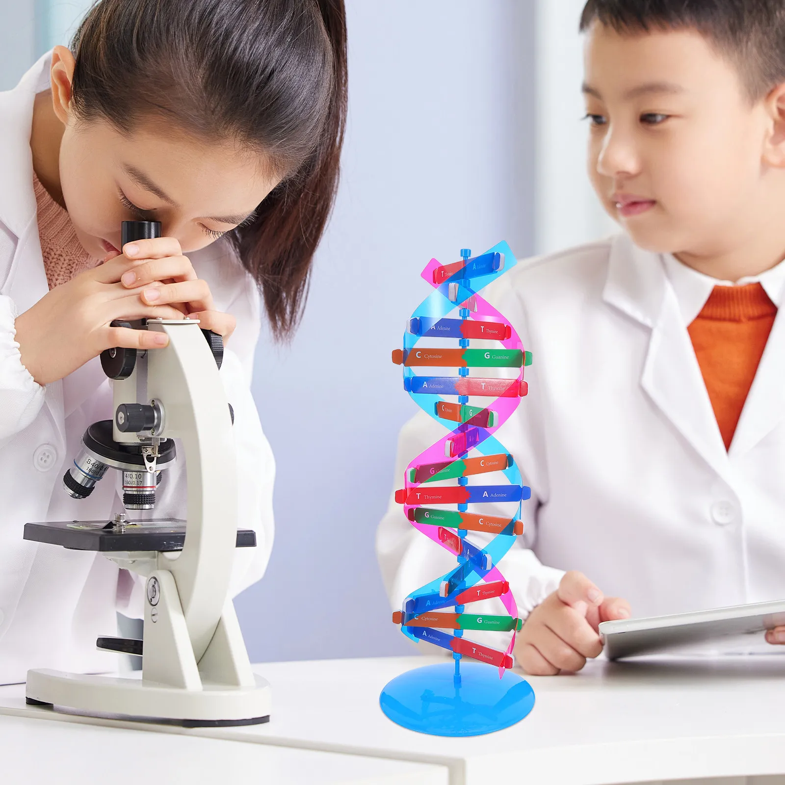 Набор для изучения ДНК «Двойная спираль»: красочный конструктор для самостоятельной сборки молекулярной структуры, образовательный STEM-набор для класса, генетика, научная выставка
Набор для изучения ДНК «Двойная спираль»: красочный конструктор для самостоятельной сборки молекулярной структуры, образовательный STEM-набор для класса, генетика, научная выставка