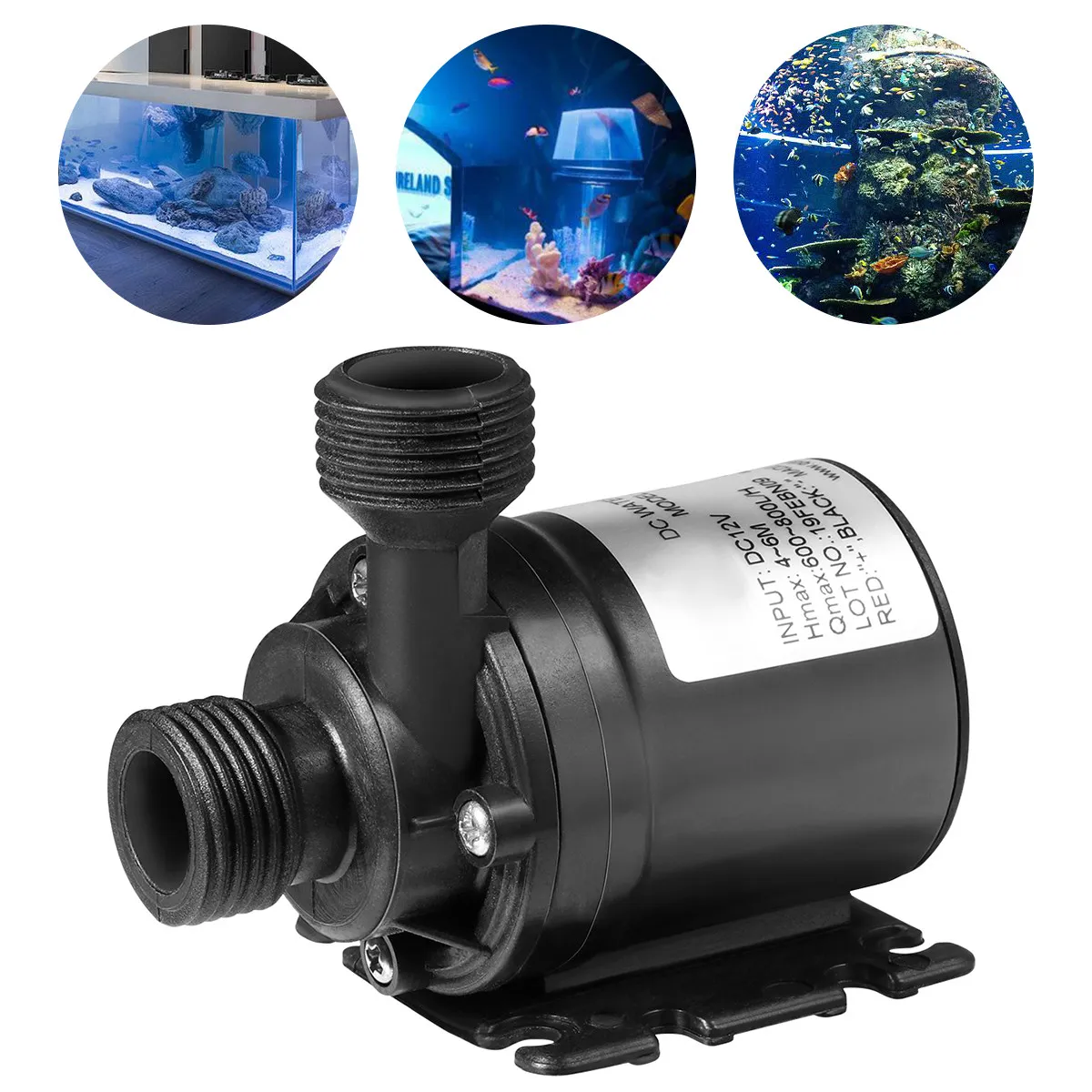 1Pcs 12V Dc Brushless Submersible Pump 800L H 5 Meter Lift Long Life Low Power Consumption Stable Operation for Water
1Pcs 12V Dc Brushless Submersible Pump 800L H 5 Meter Lift Long Life Low Power Consumption Stable Operation for Water