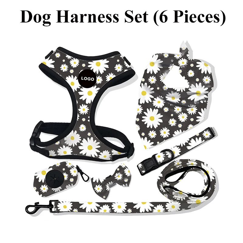 Set of 6 Small Dog Leash and Harness Set Soft Breathable Mesh Vest Harness with Leash Collar Storage Bag and Scraf for Walking
Set of 6 Small Dog Leash and Harness Set Soft Breathable Mesh Vest Harness with Leash Collar Storage Bag and Scraf for Walking
